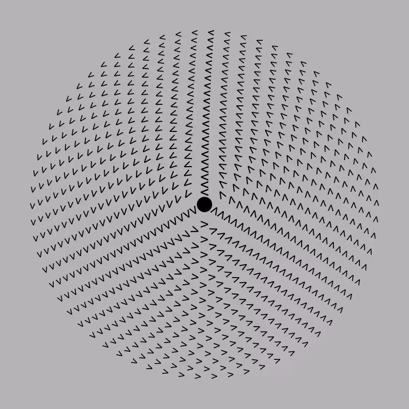 Dizzy Wheel #21