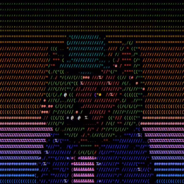 codewildcat #1