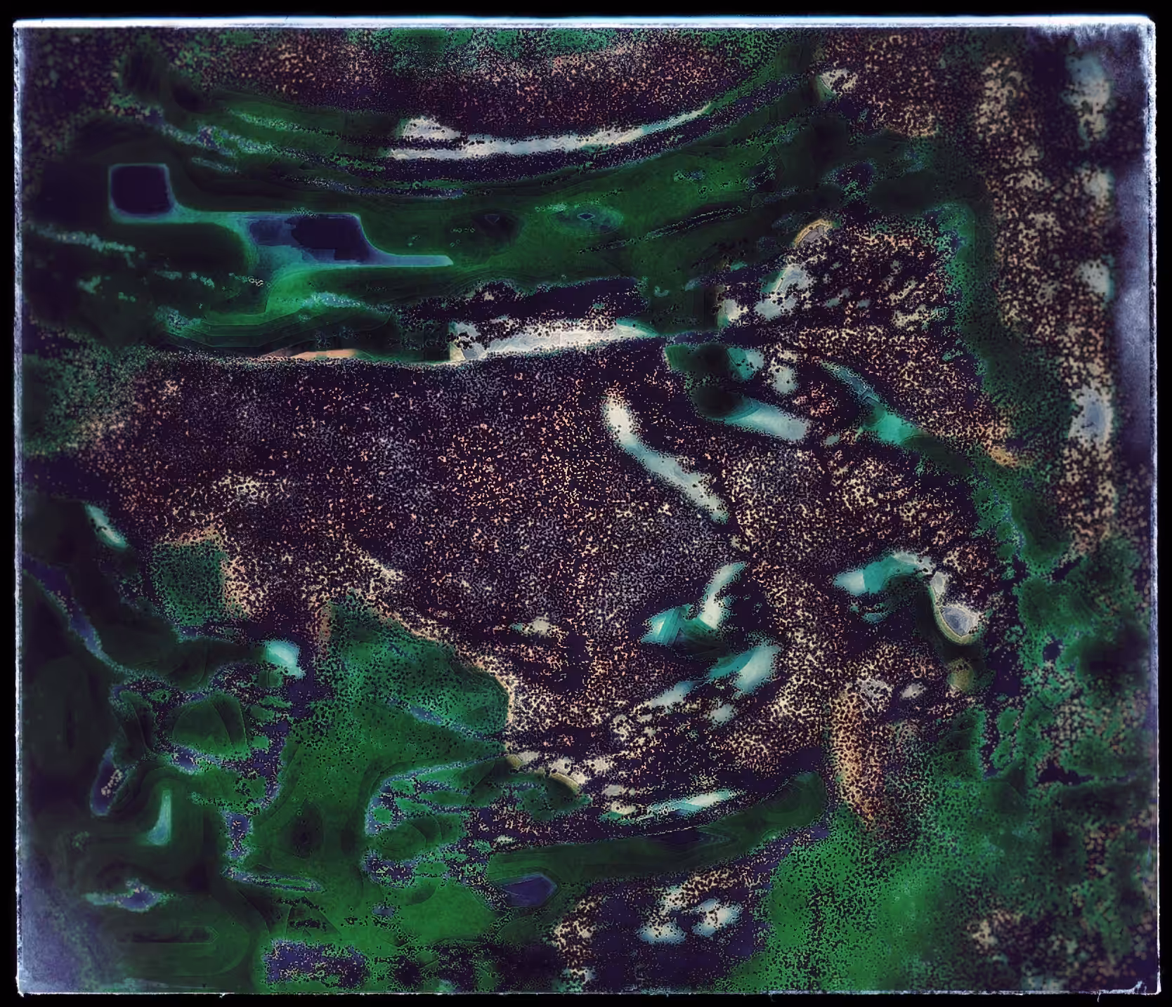 WonderLand #072