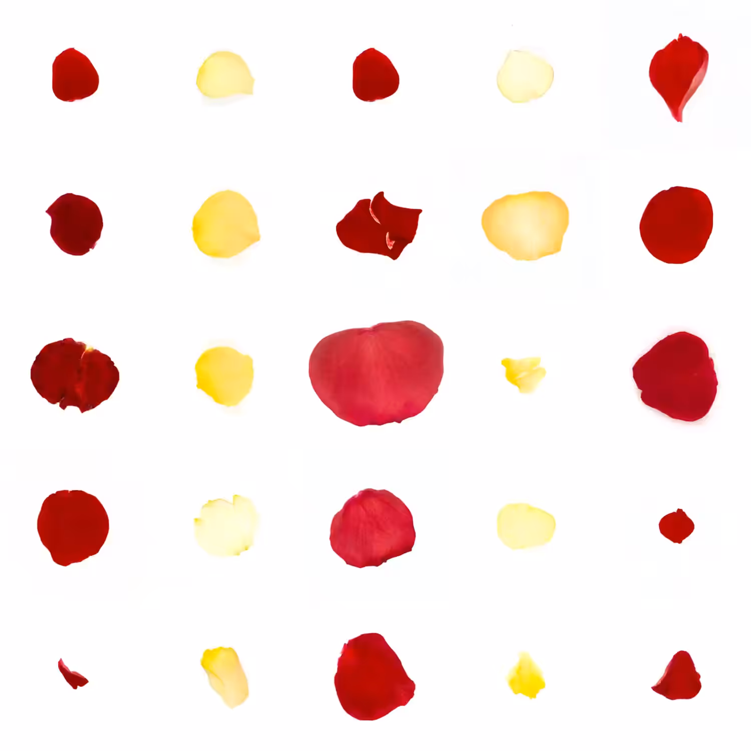 Infinite Petals 5x5#20206