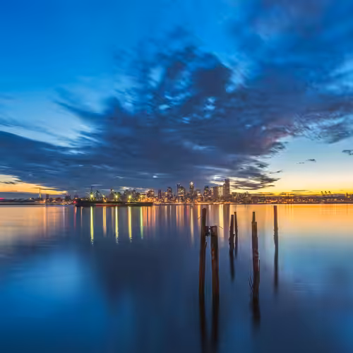 Down By The Bay