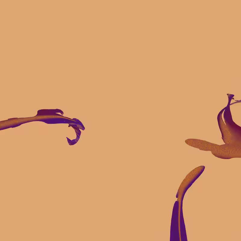 swarm #3