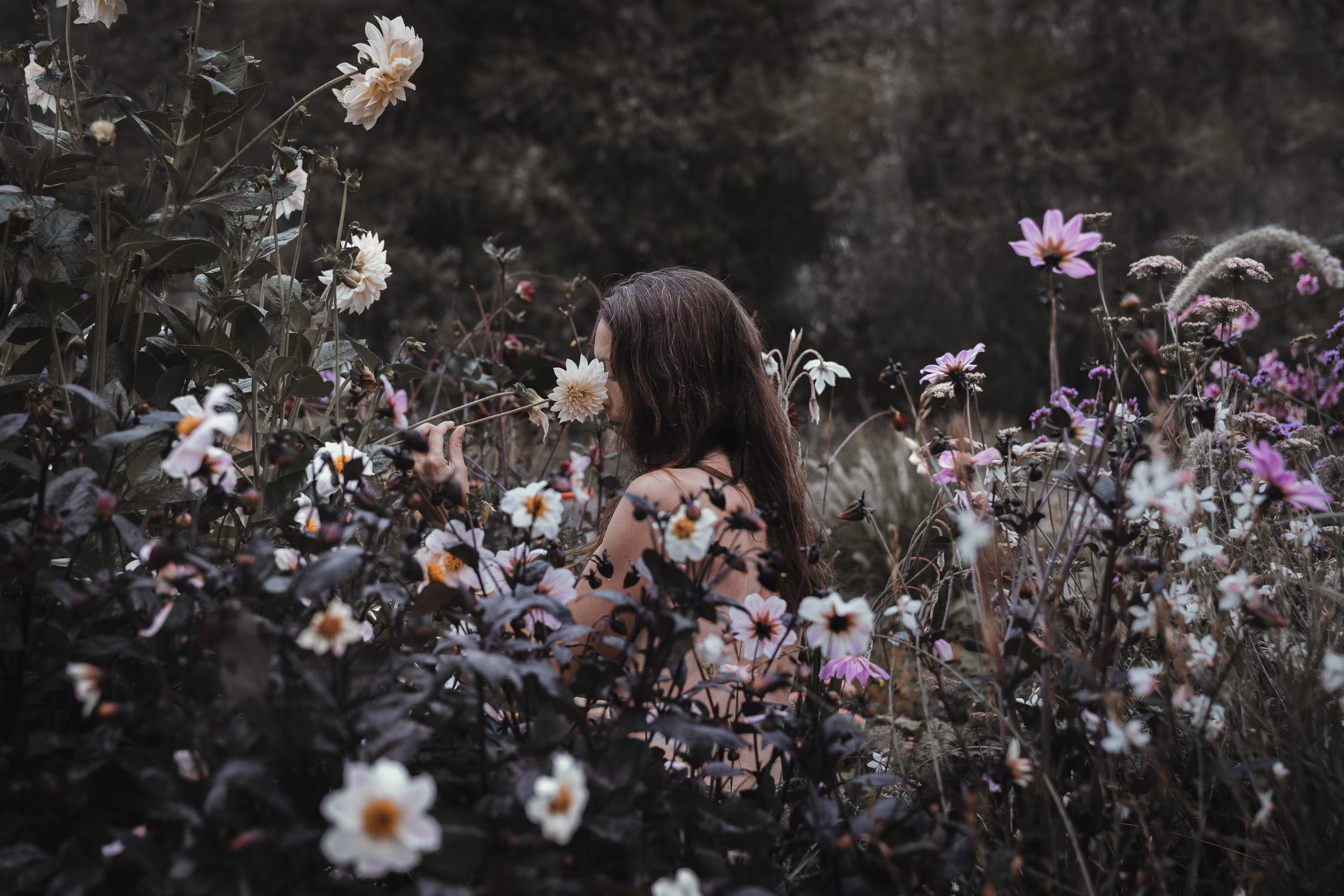 Garden of Eden III