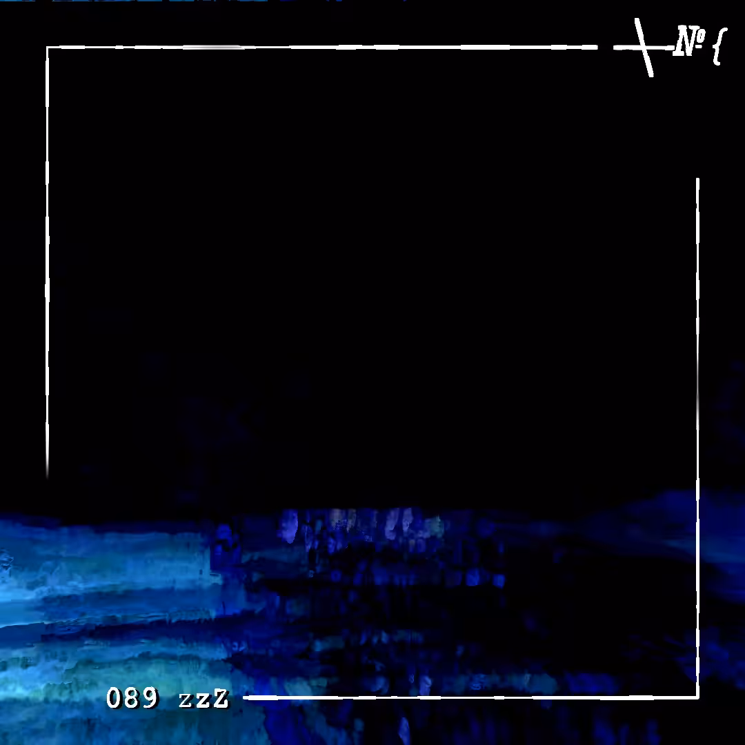 089 zzZ