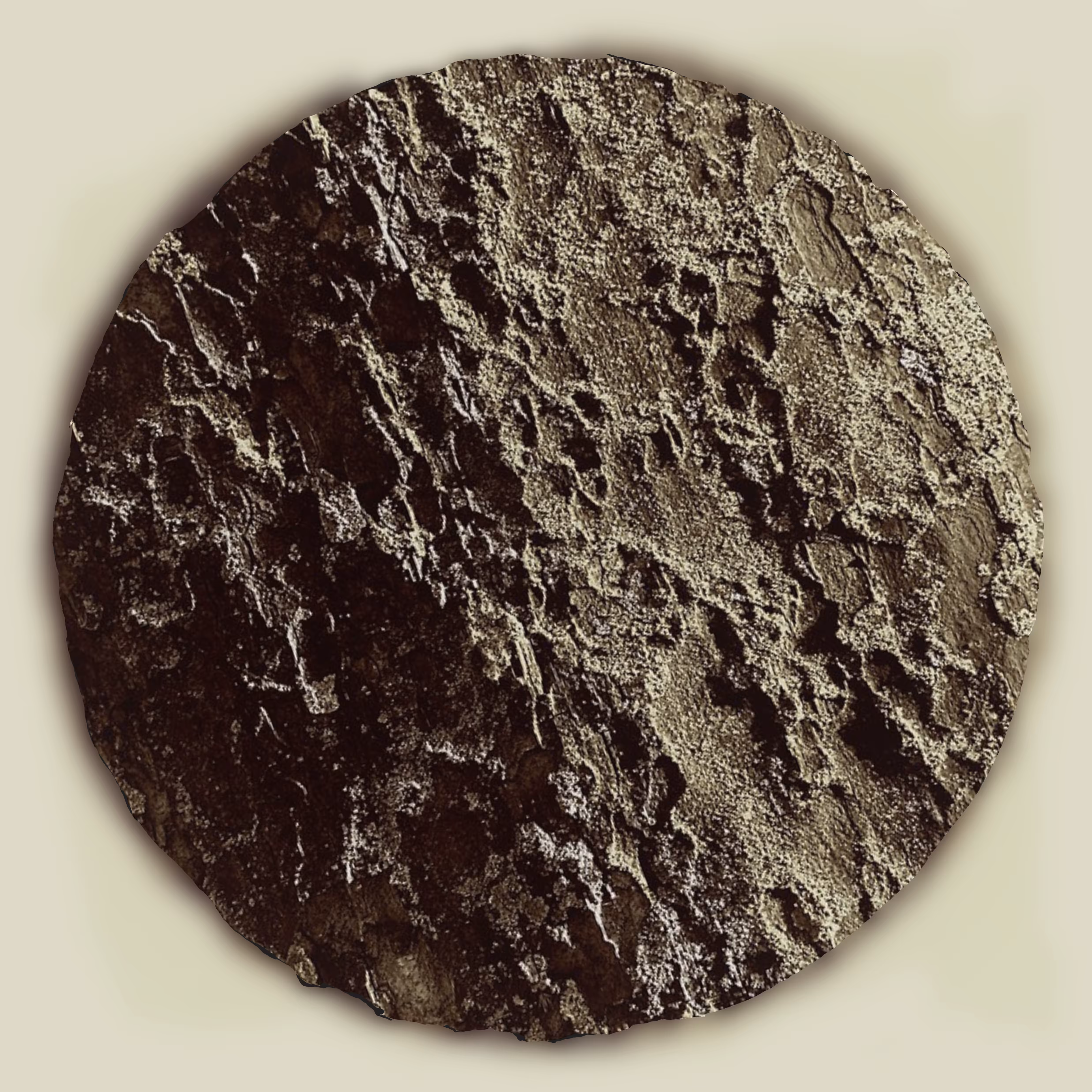moon bark