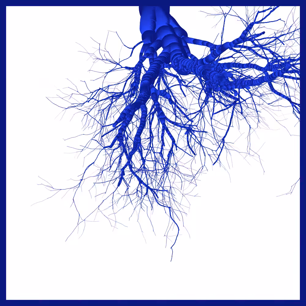 Arbres suspendus #107