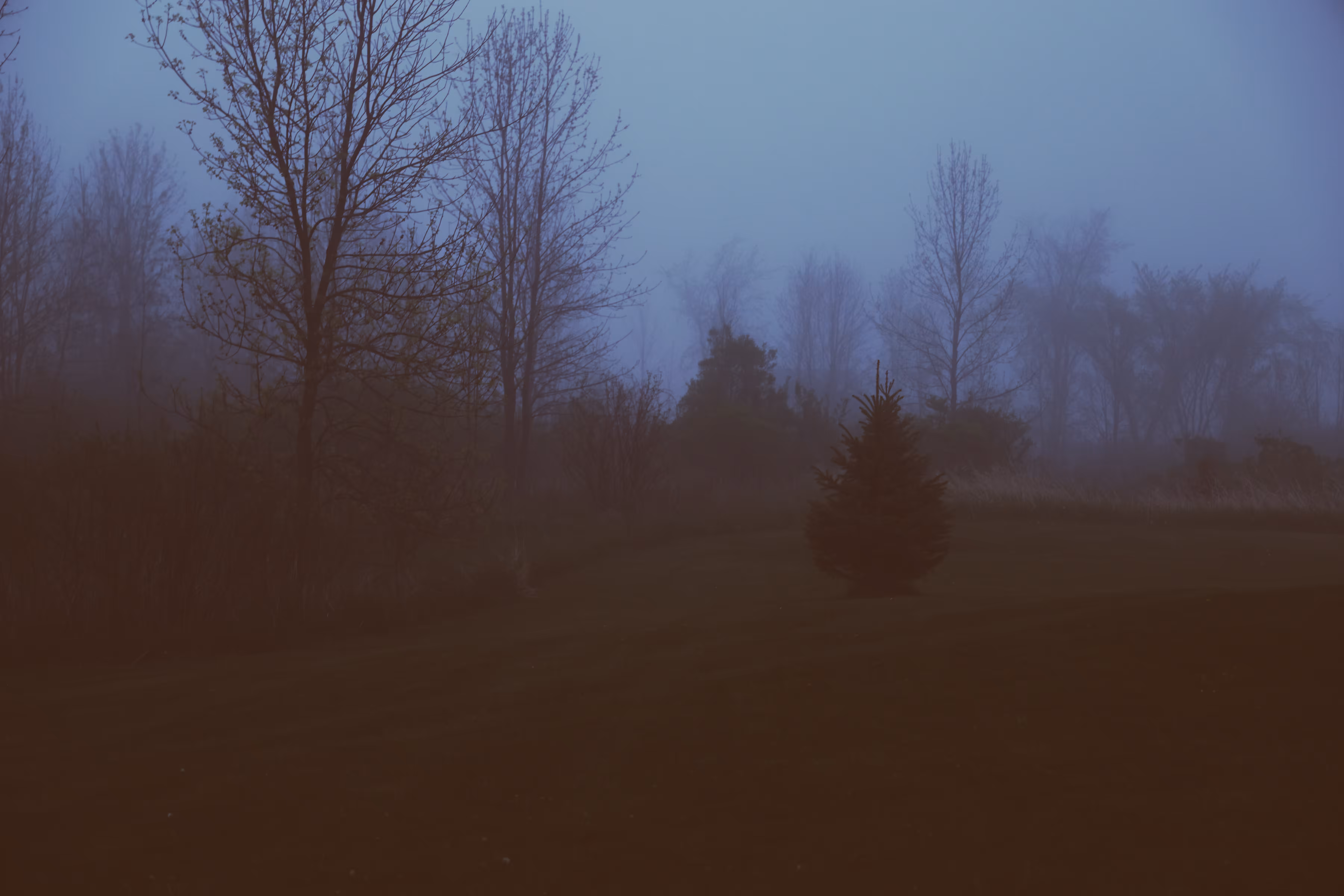 _victim