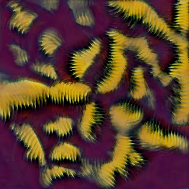 Genomes #2673