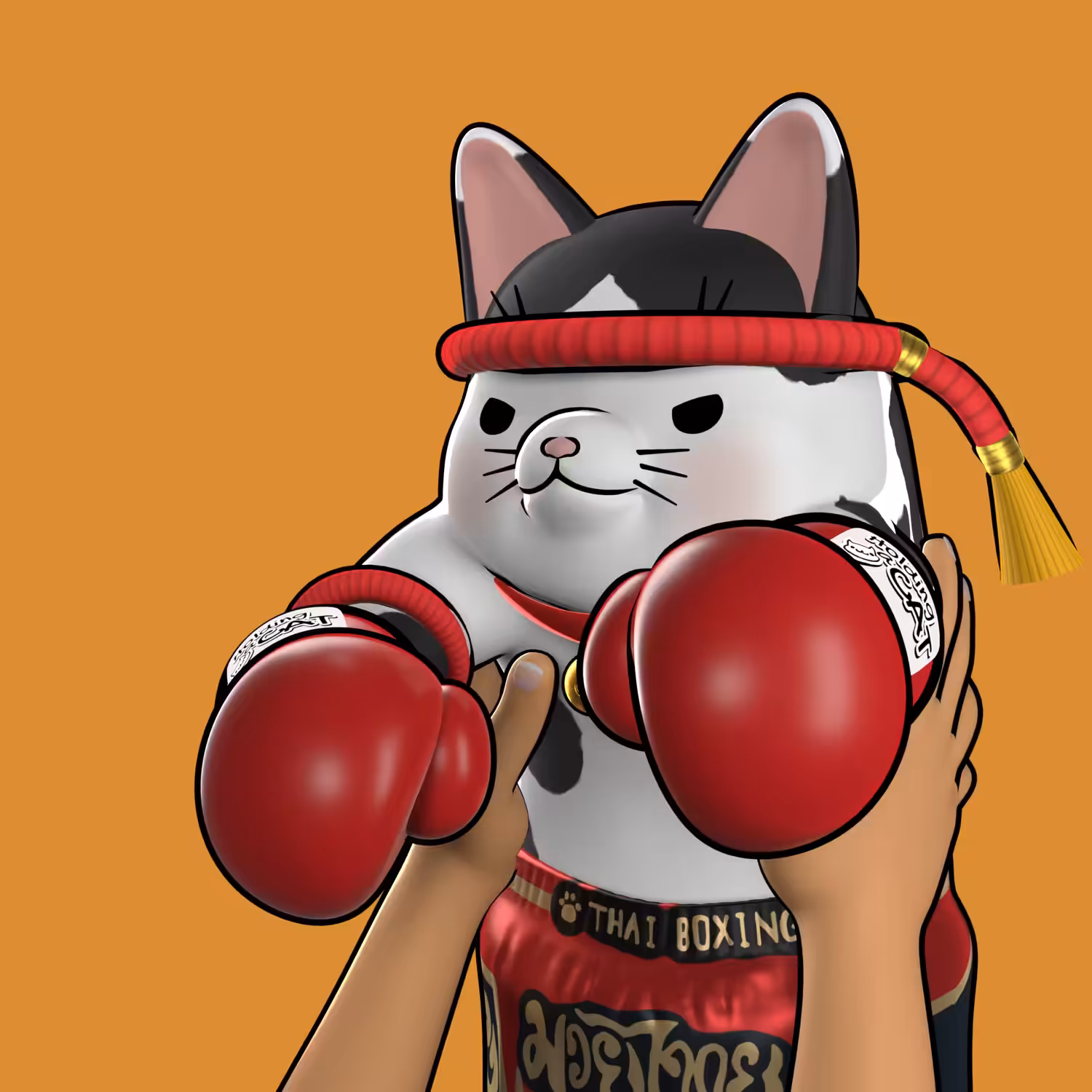 Holding a Cat: #035 Muay