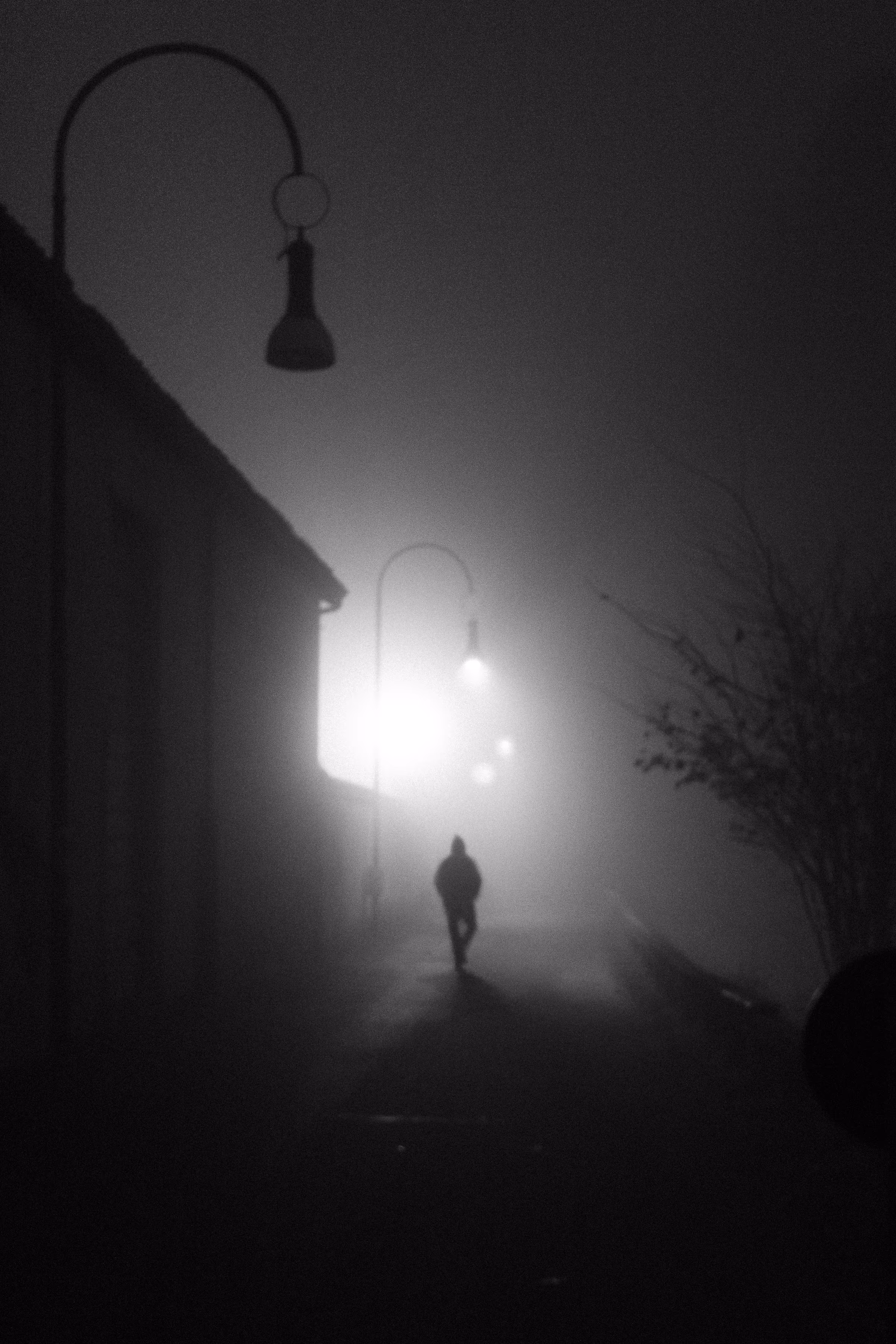 Nebbia 4