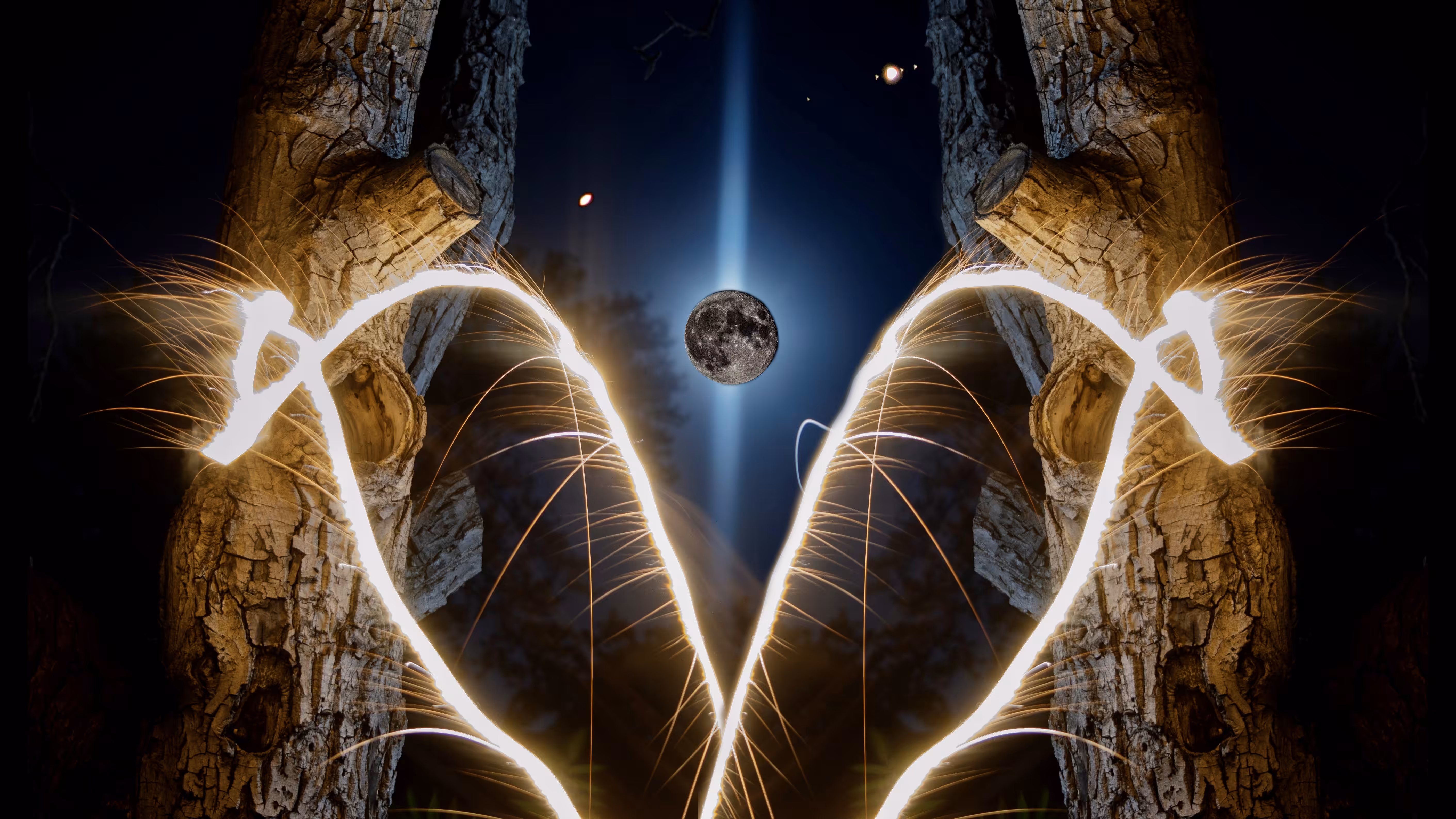 Planet Butterfly