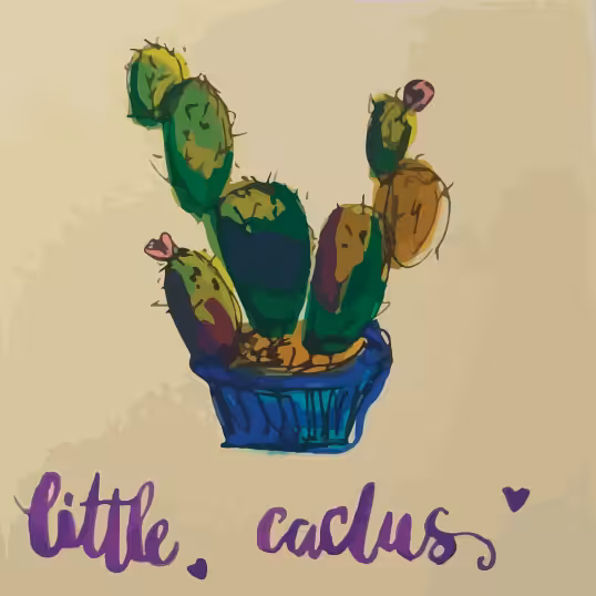 Little Cactus