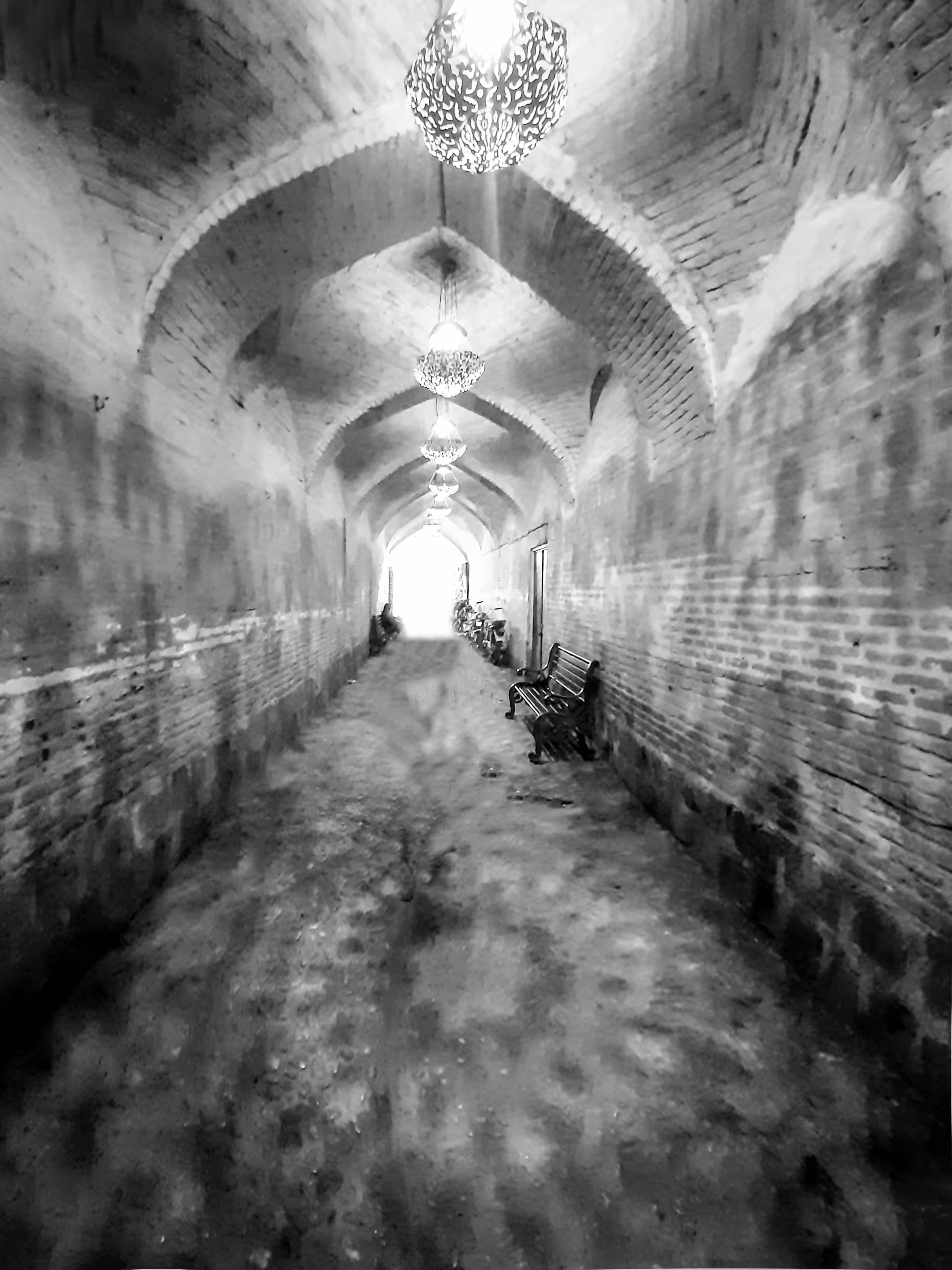Whispers of love in the alleys of Shiraz