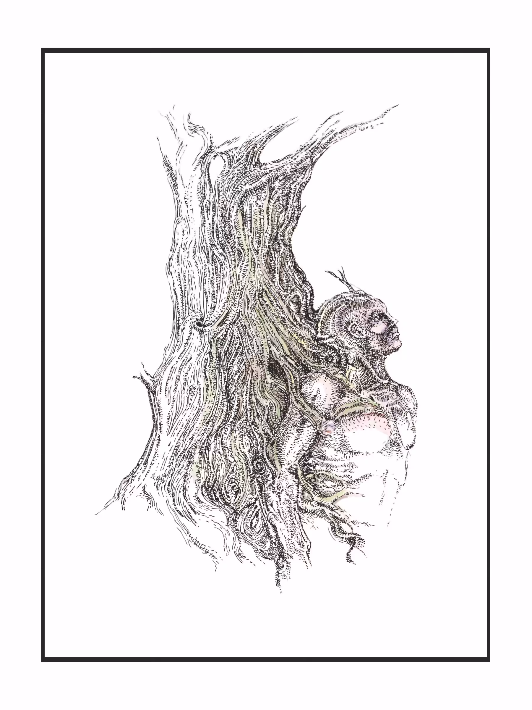 Dendroathropos
