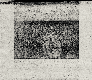 Captive onlooker I