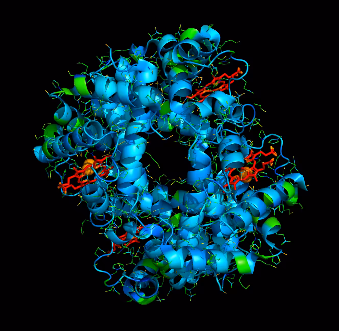 Hemoglobin 1thb