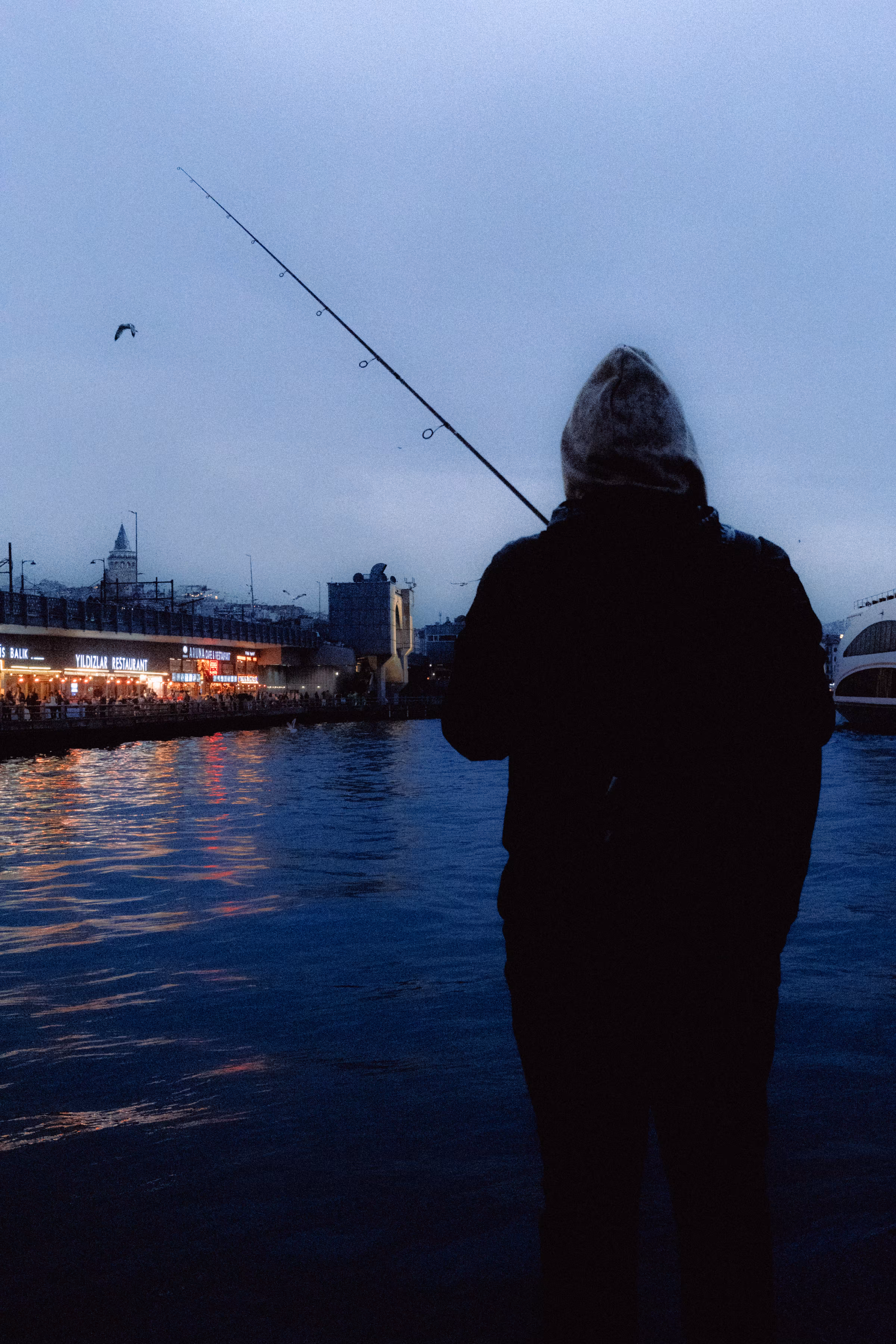 Bird fishing