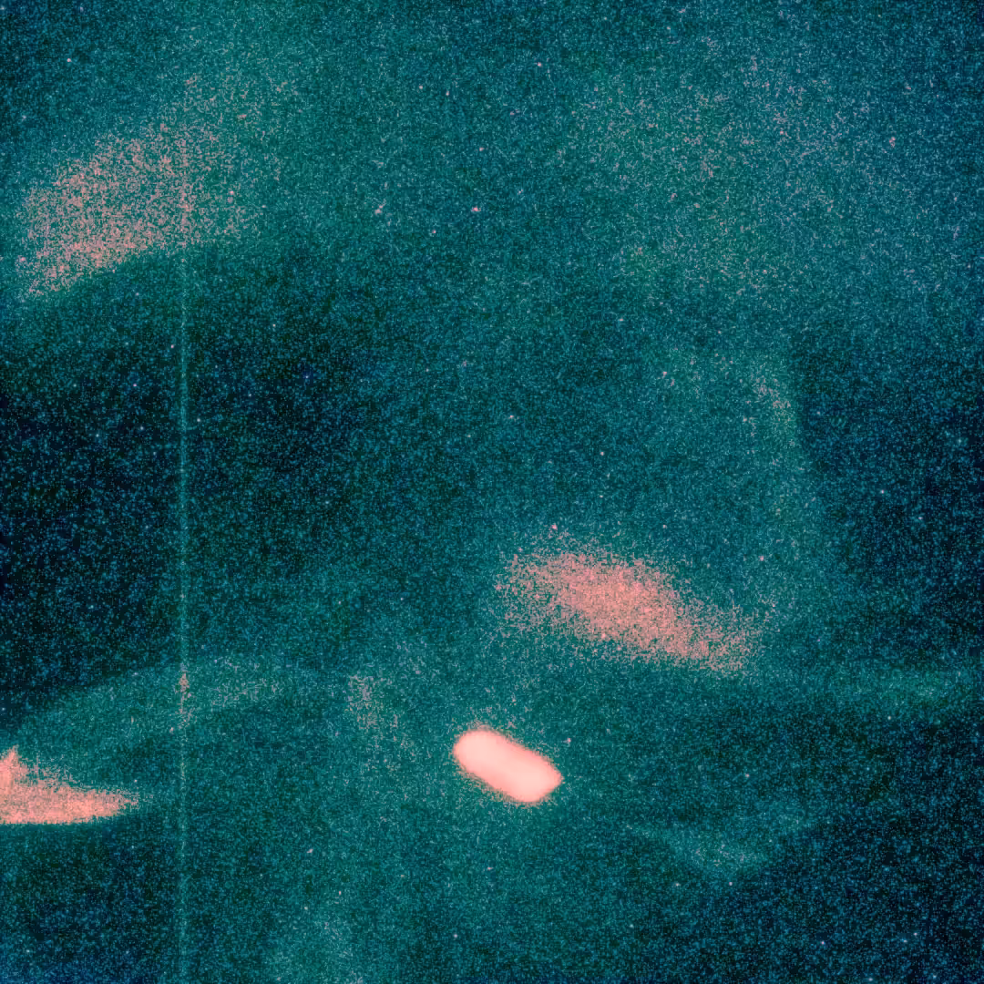 Night Lights