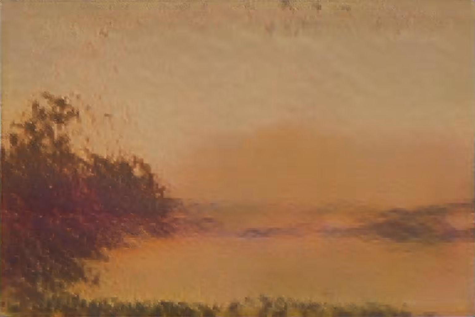 The Amber Hour