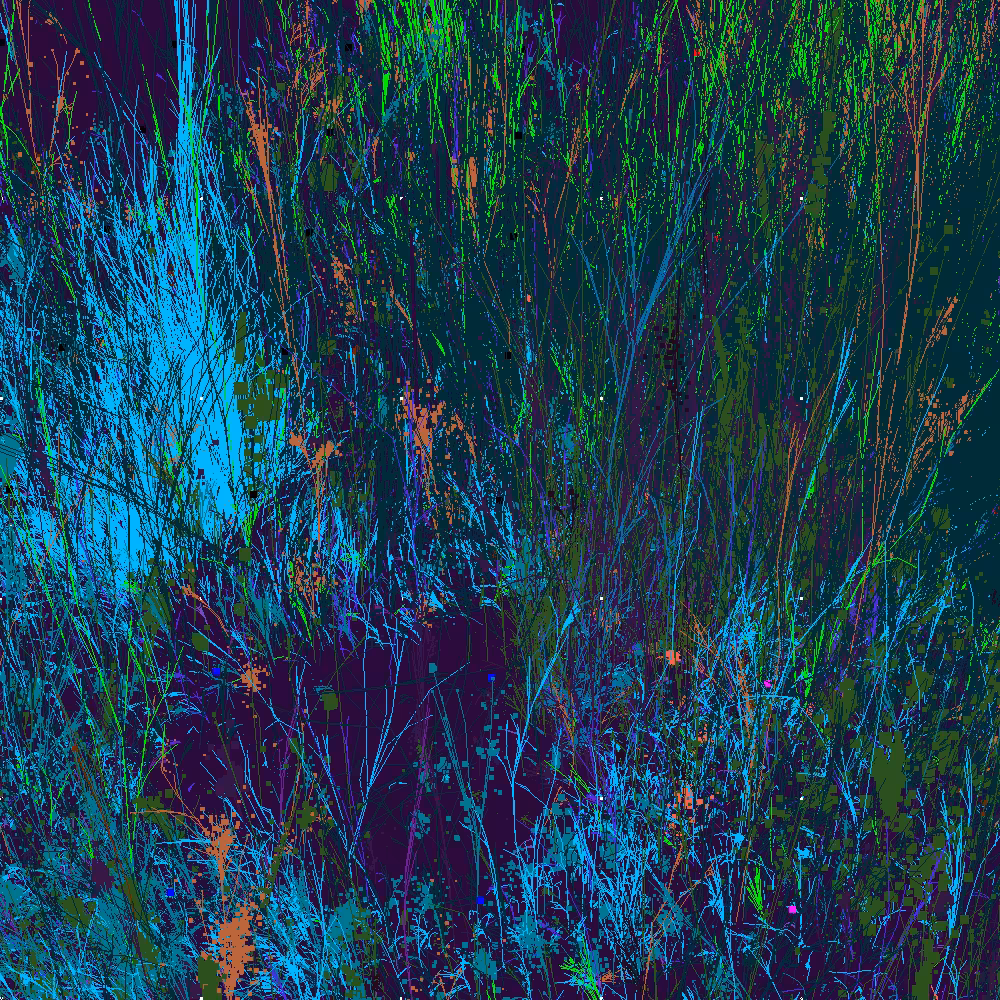 Infinite Garden: 82024 Flowers