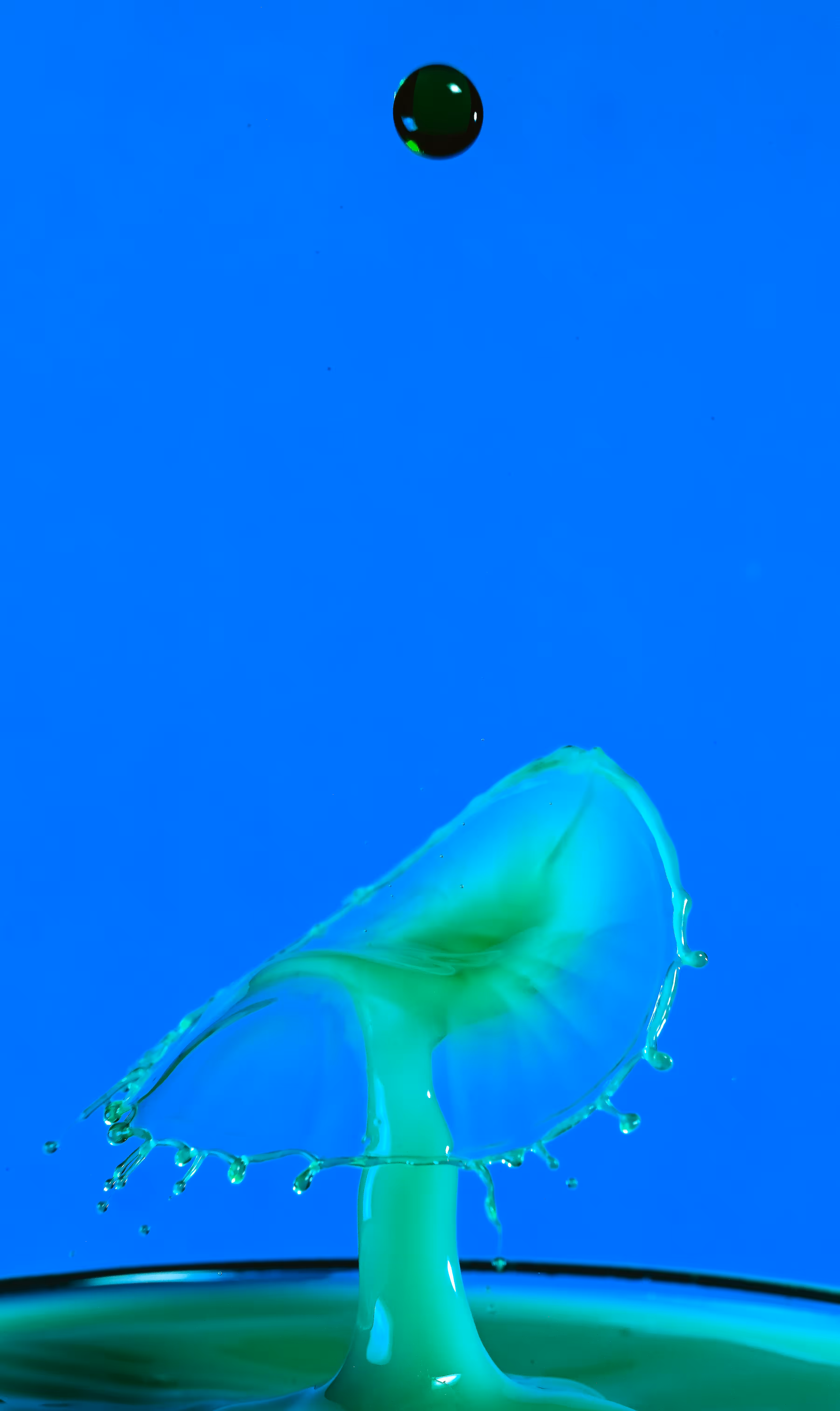Water Drop #242