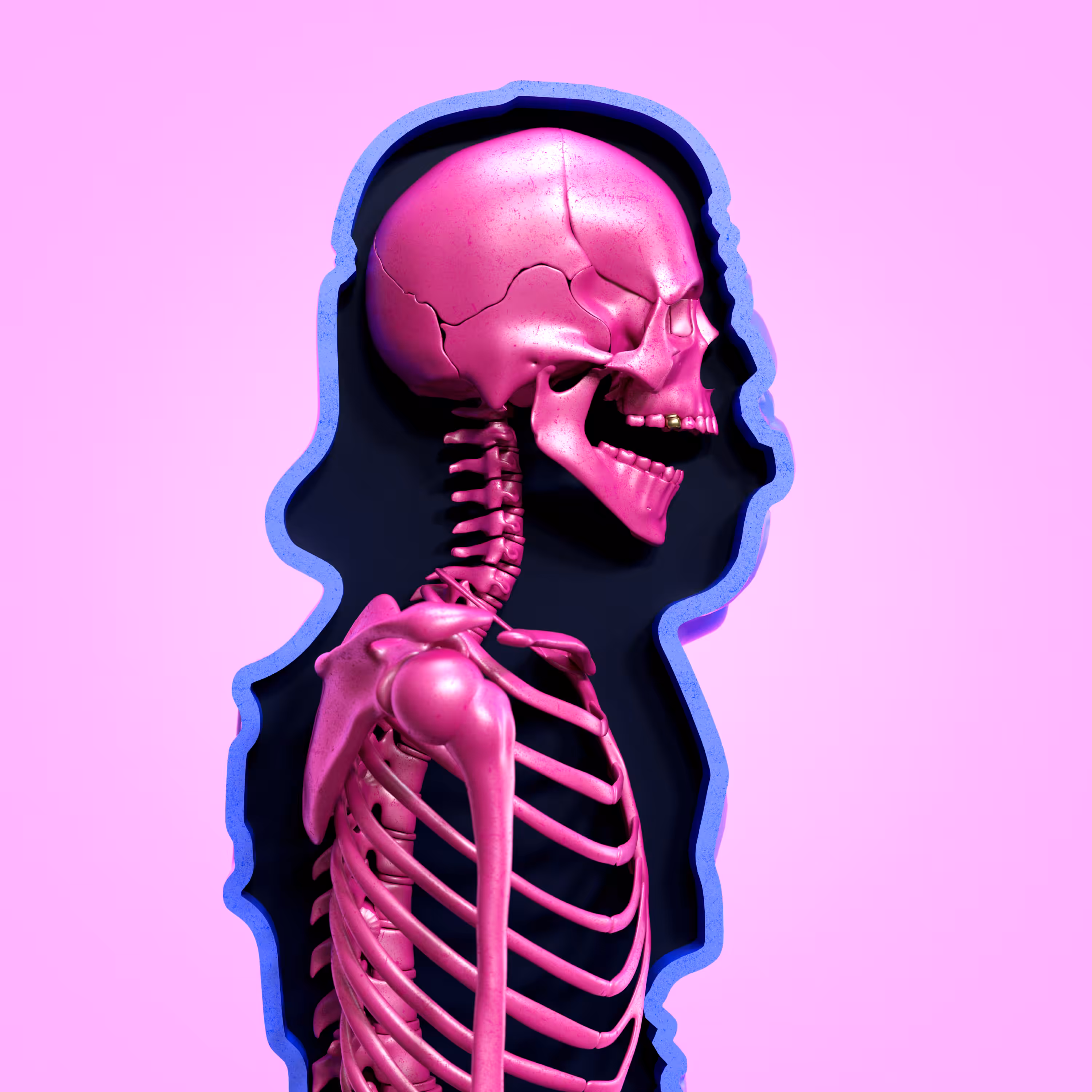 Plastic Dissection