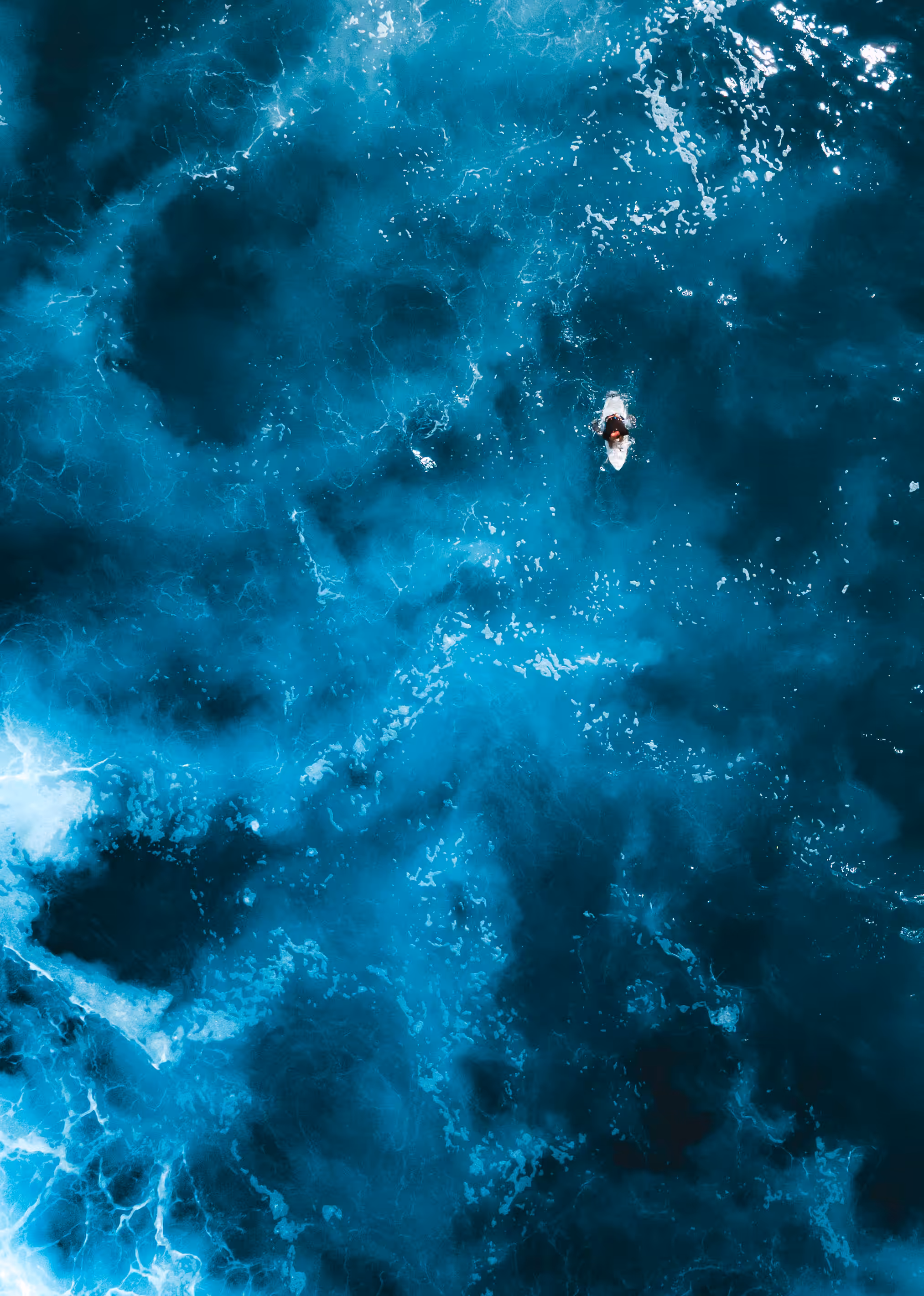 Ocean Raw #32