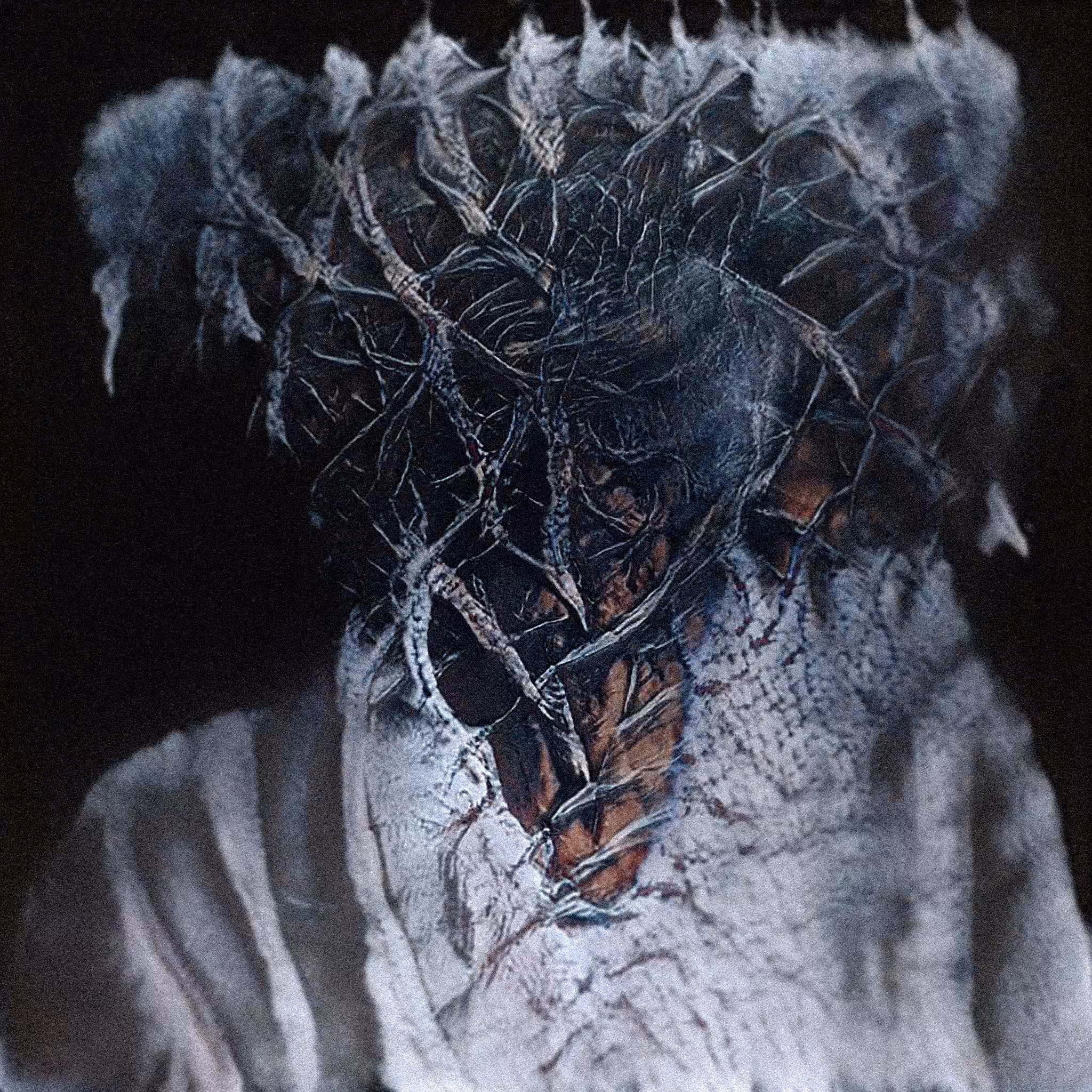 The Ancestors #015