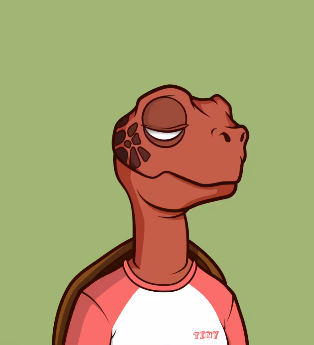 Tiny Turtle 214