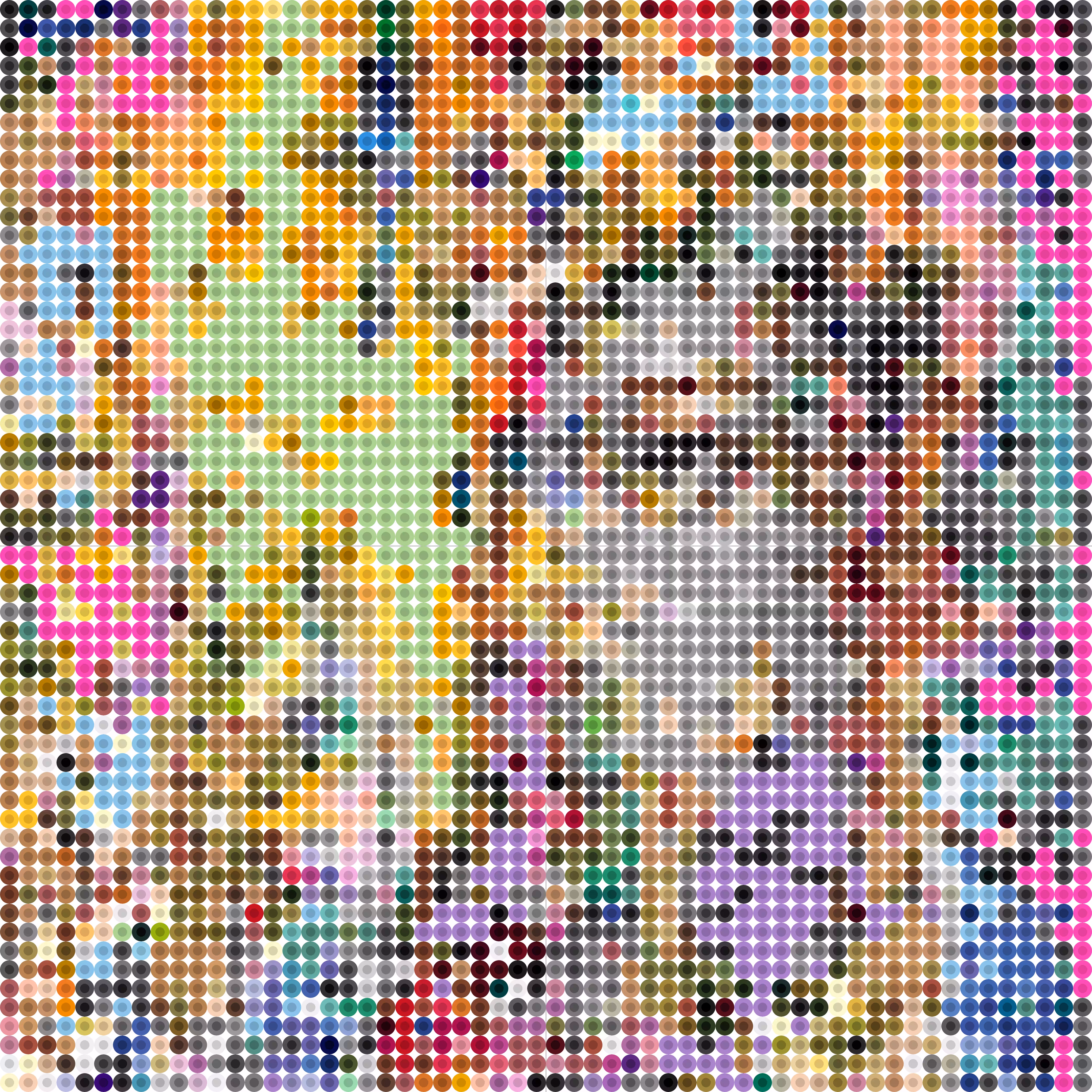hidden face