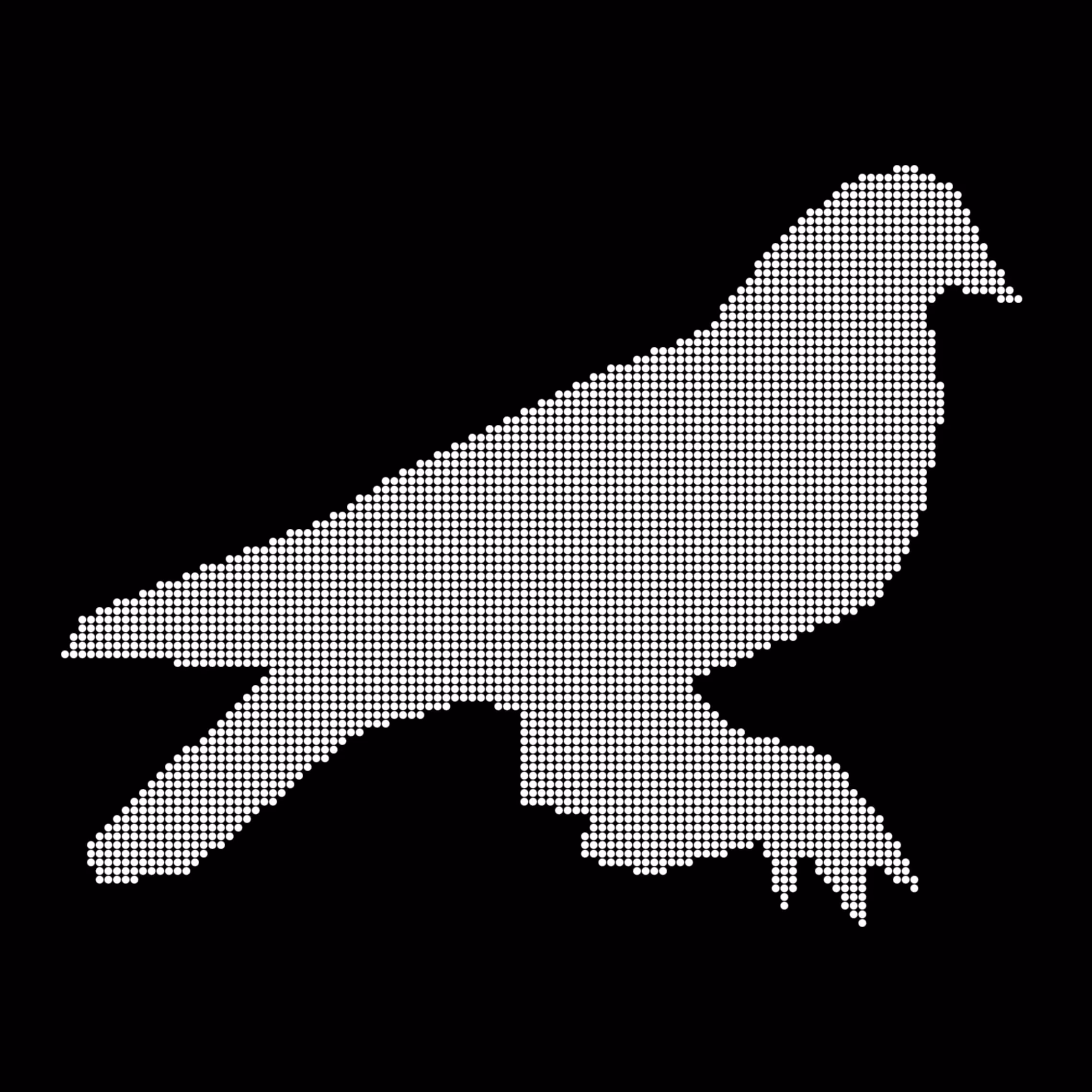 Caltech Studies (Braille): Pigeon 23