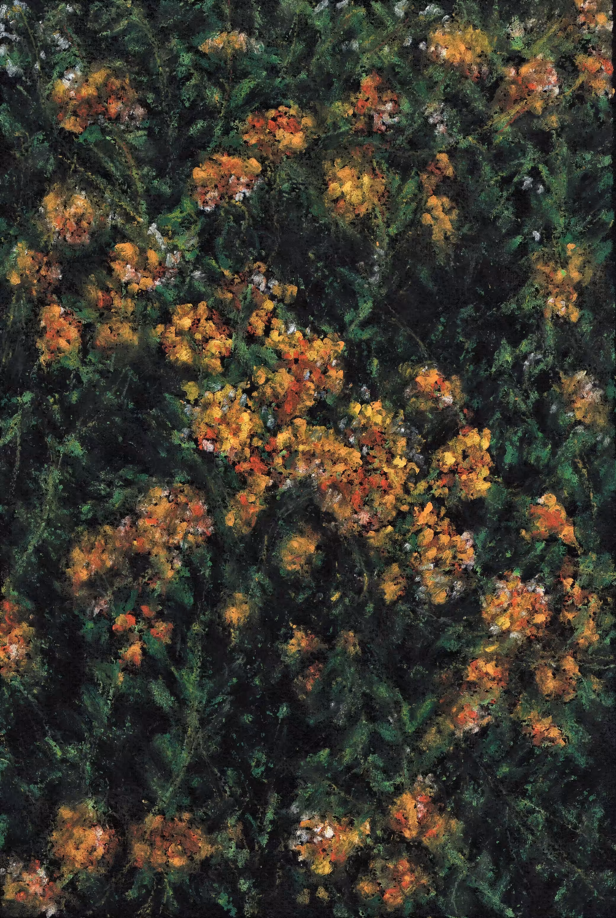 "The Movements Of The Sunshine Morning"