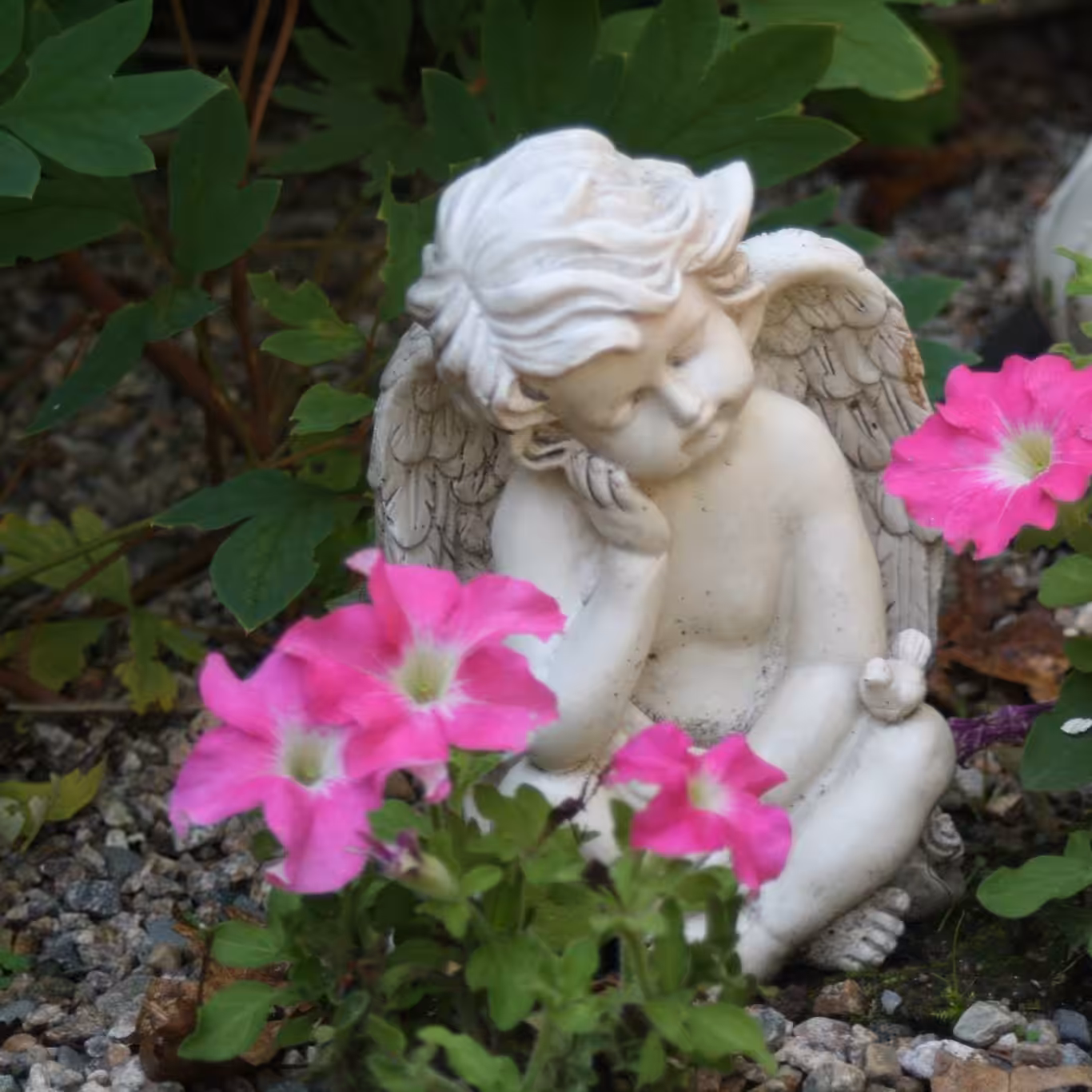 Guardian Angel