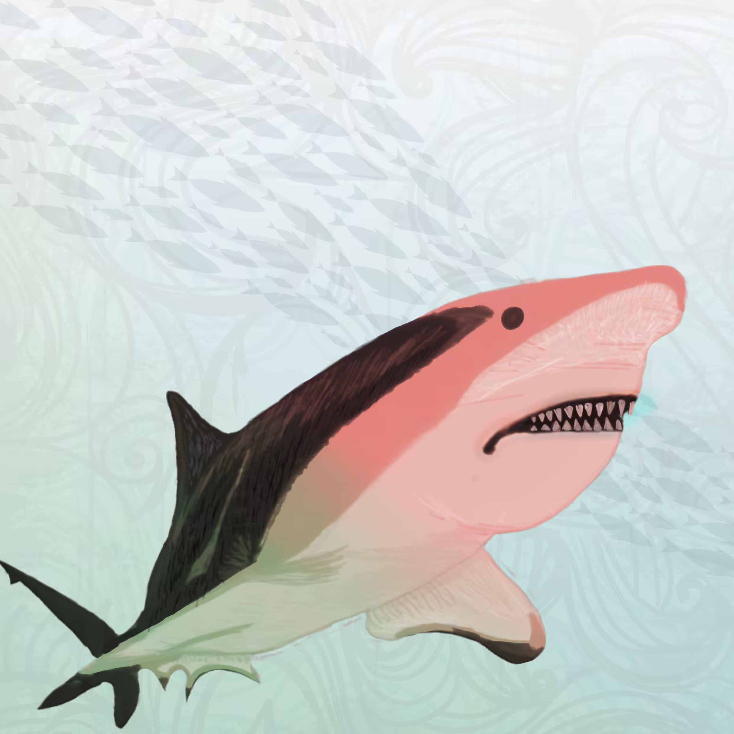 Sharck collection 1