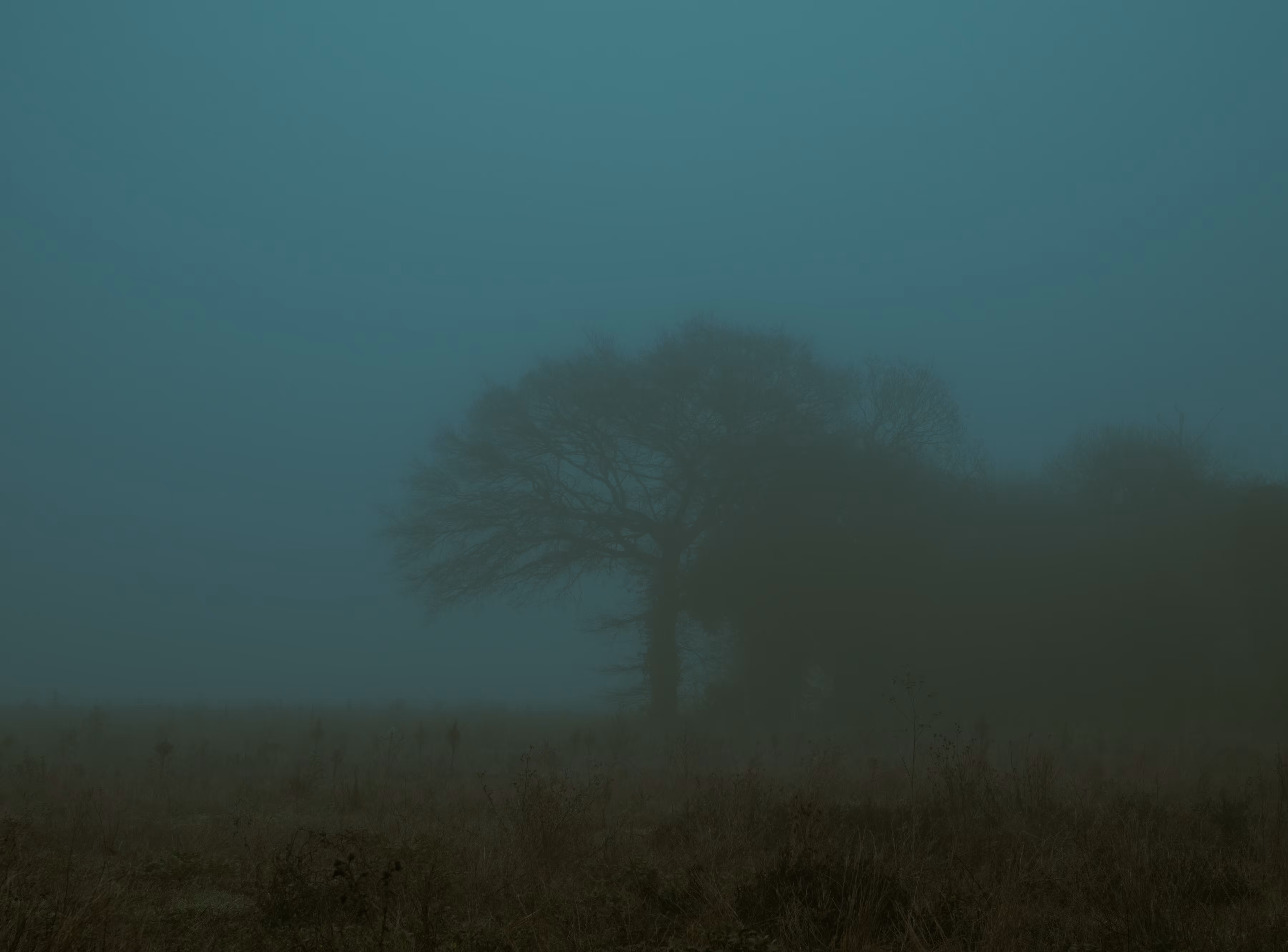 In the distance