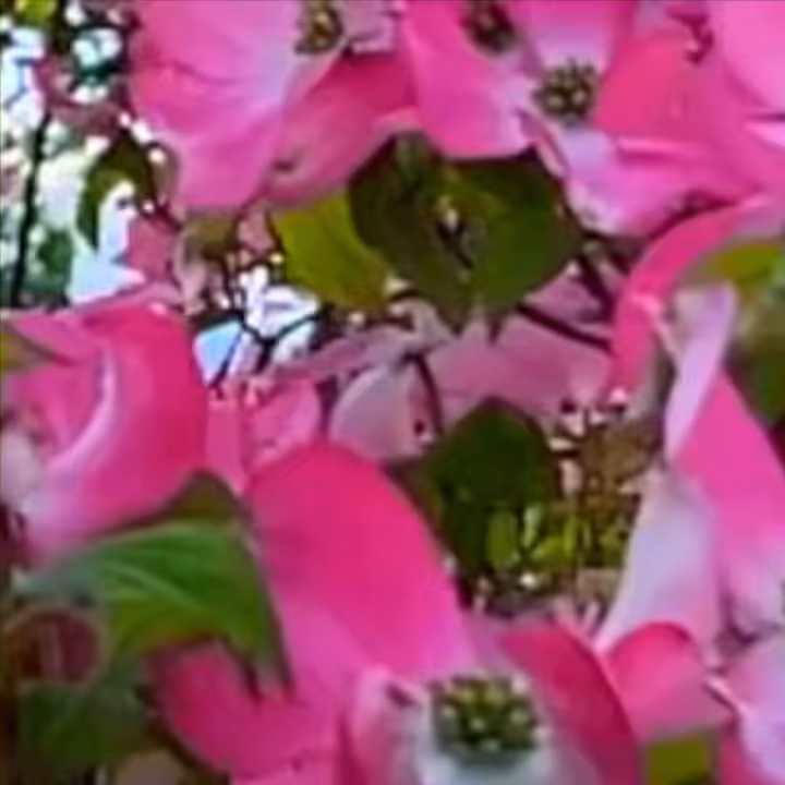 pattern 3