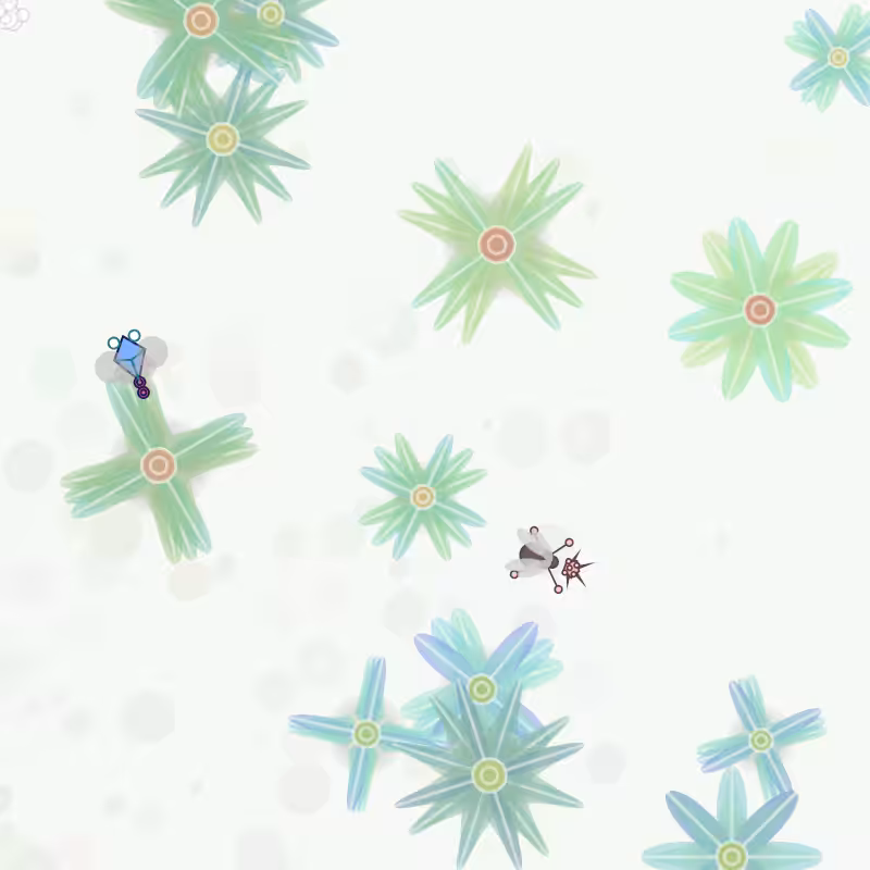 [Vital] - Bugs Terrarium #5