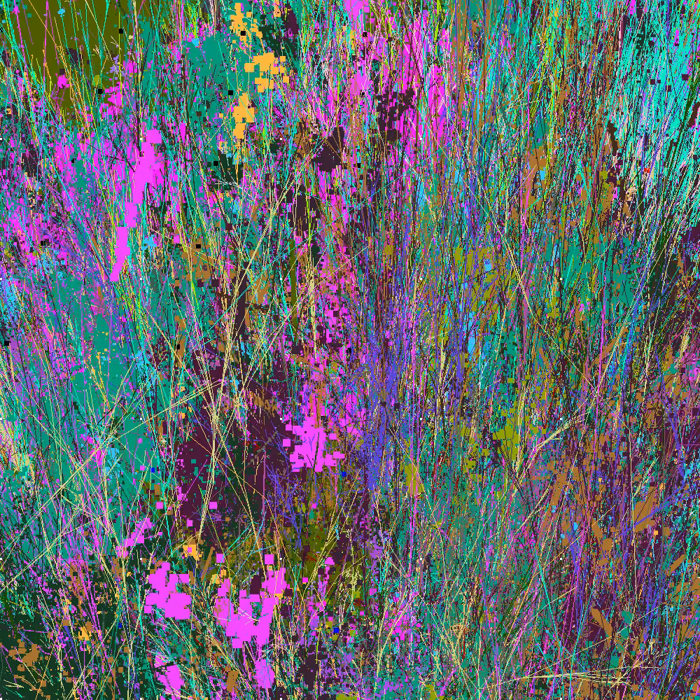 Infinite Garden: 259952 Flowers