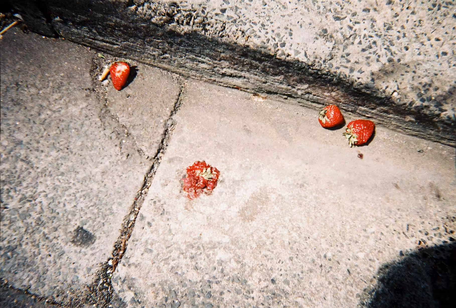 Day103- Strawberry dayz