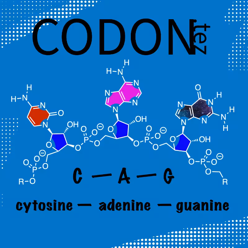 Codon Minter #26