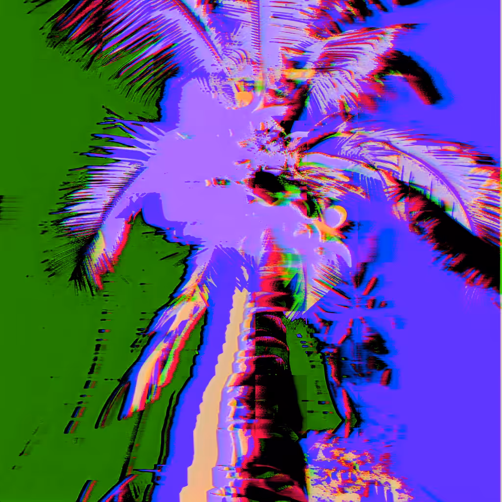 palmer 1