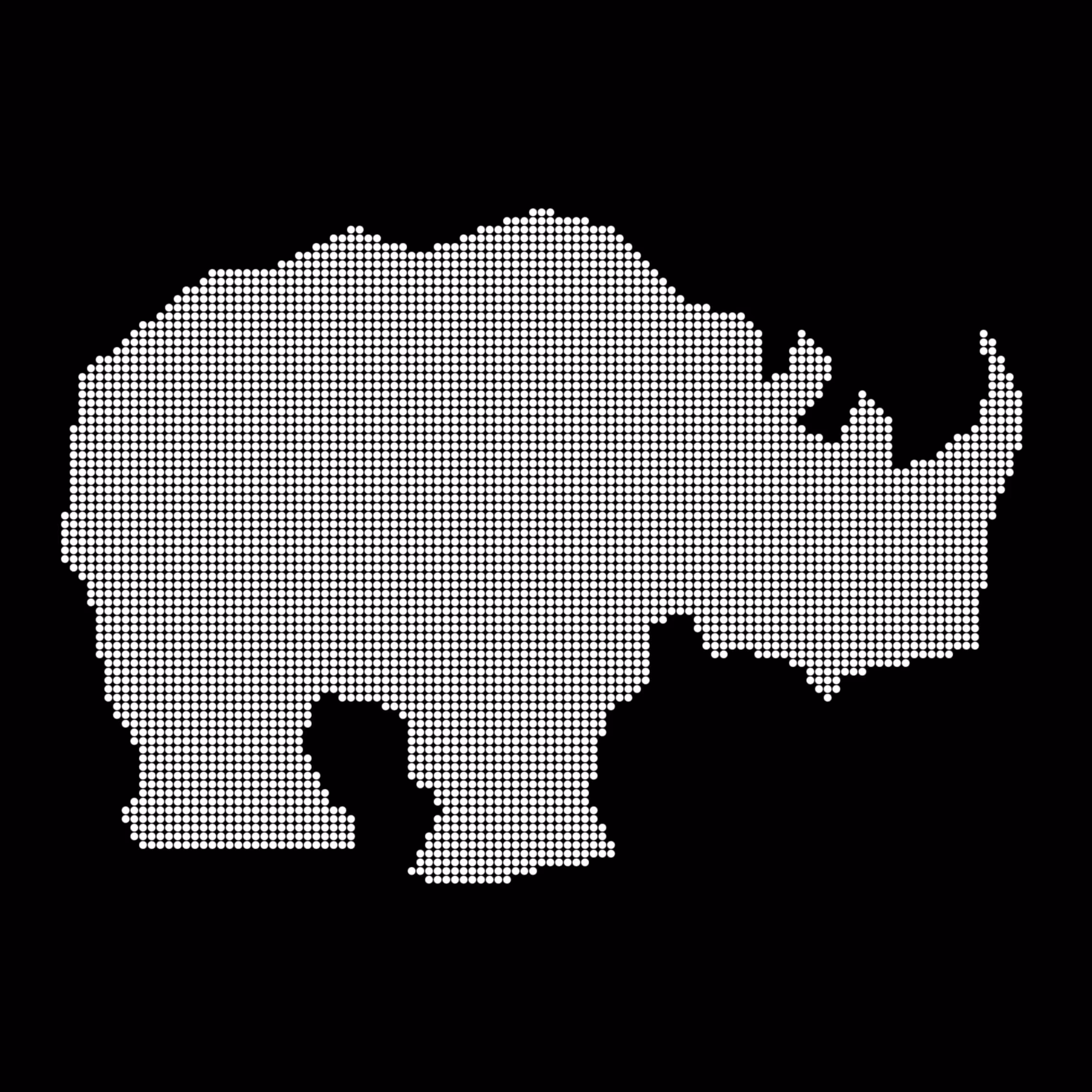 Caltech Studies (Braille): Rhino 7