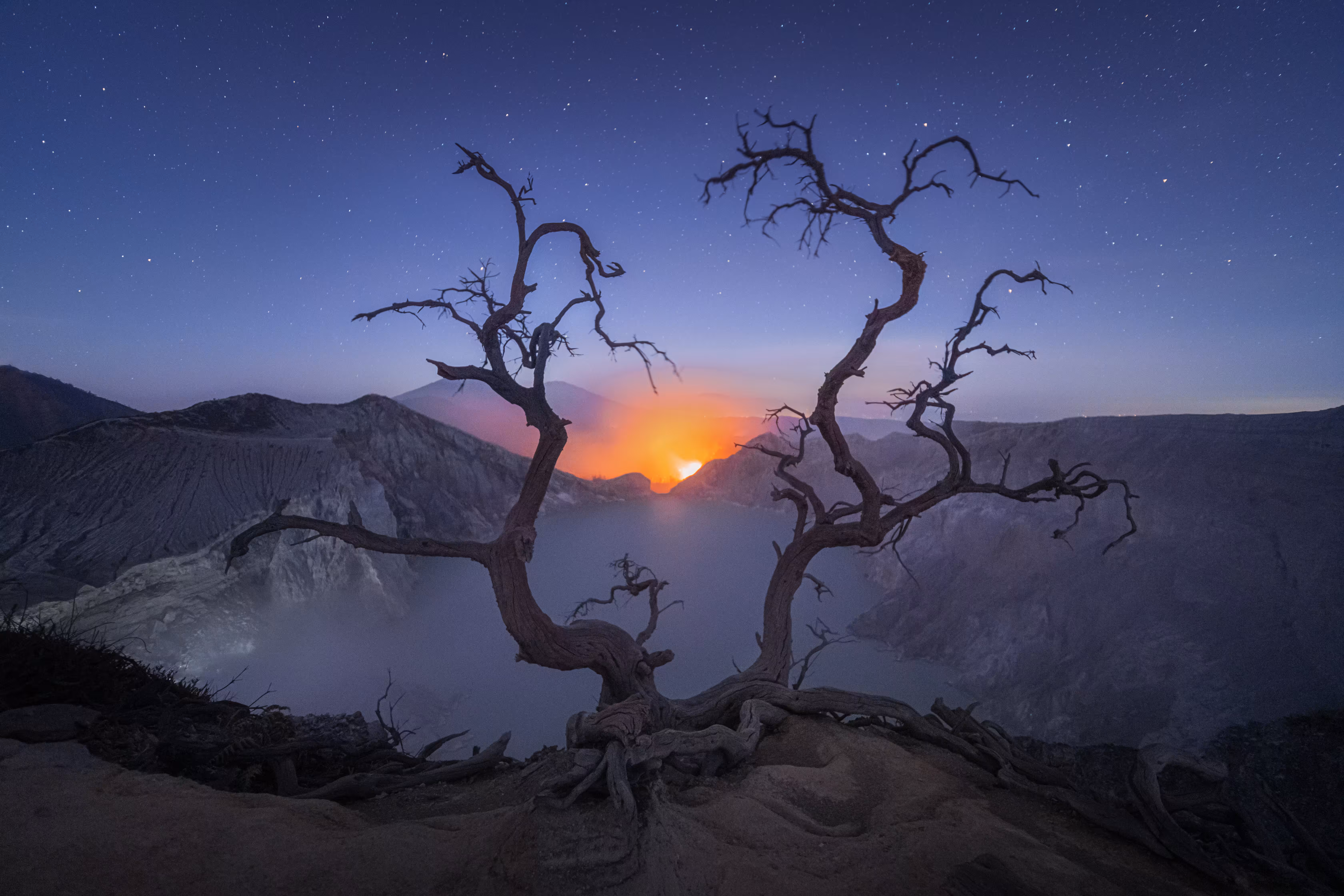 The Jurassic Indonesia by Kelvin Yuen