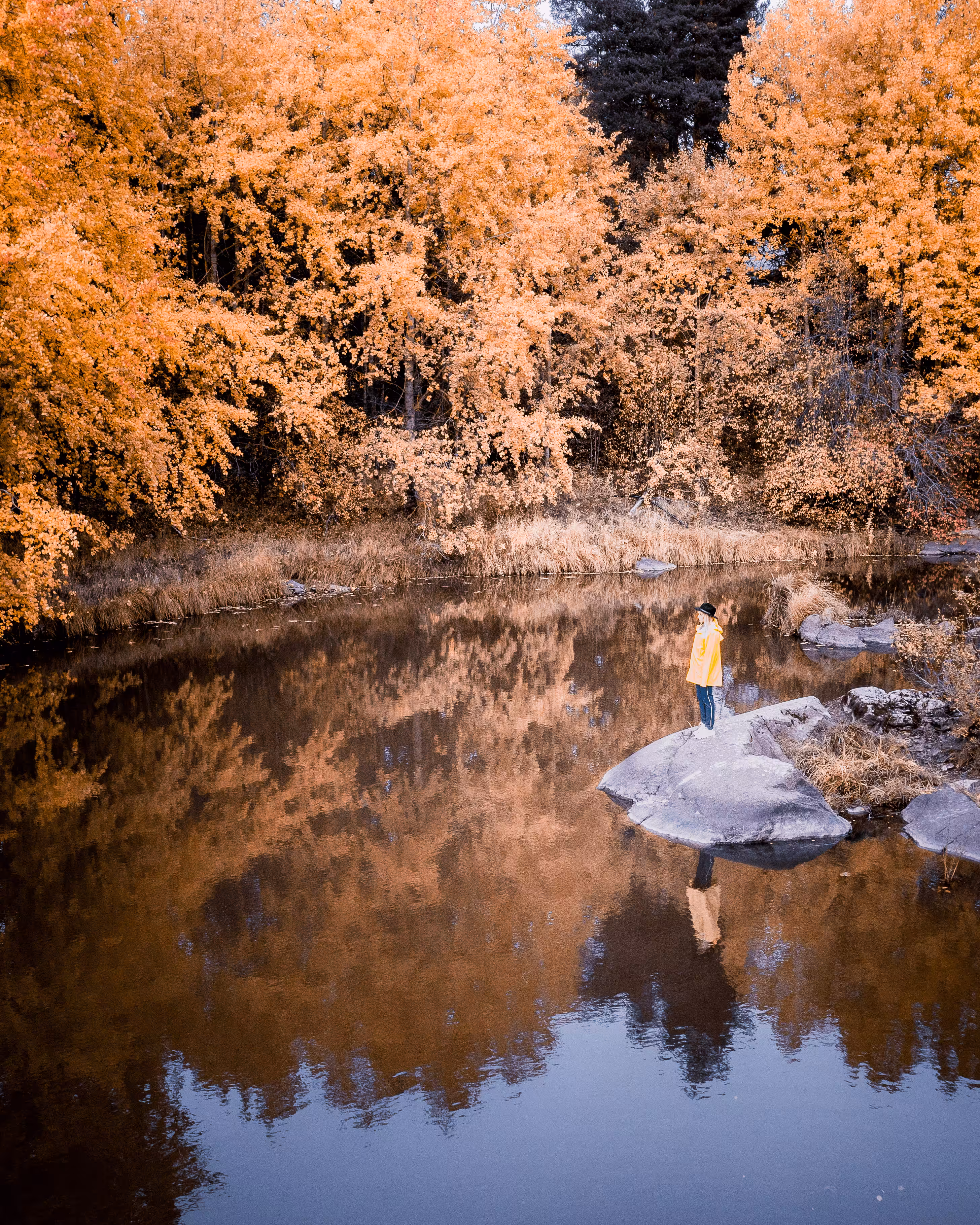 Autumn reflections