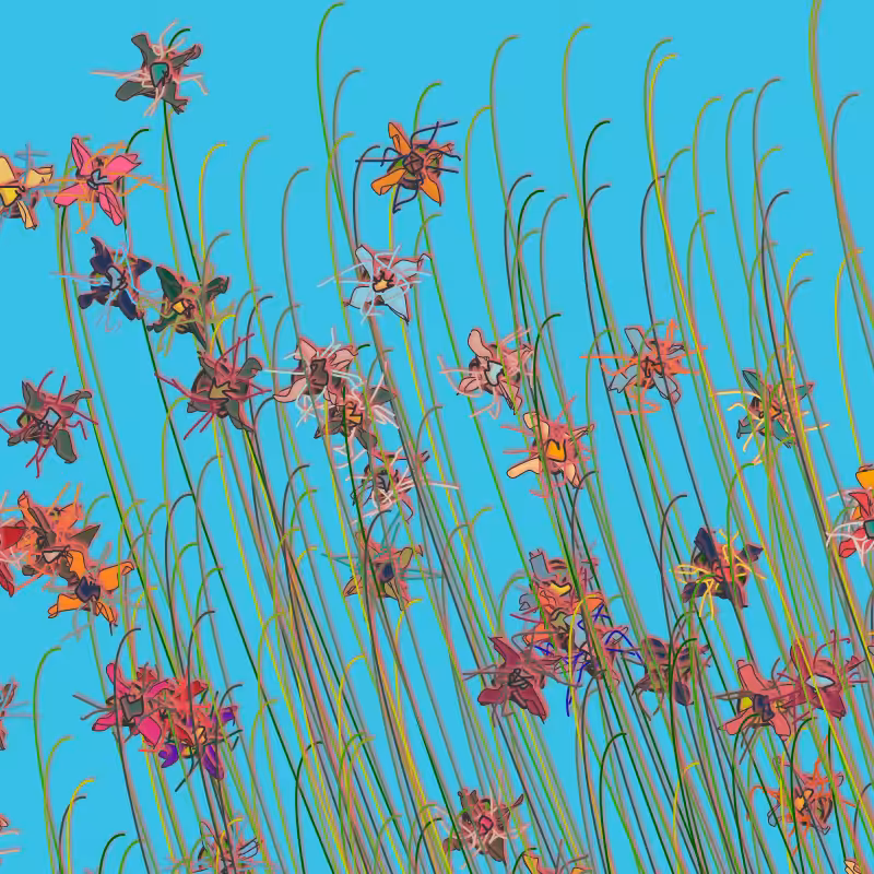 Blowing In The Wind #22