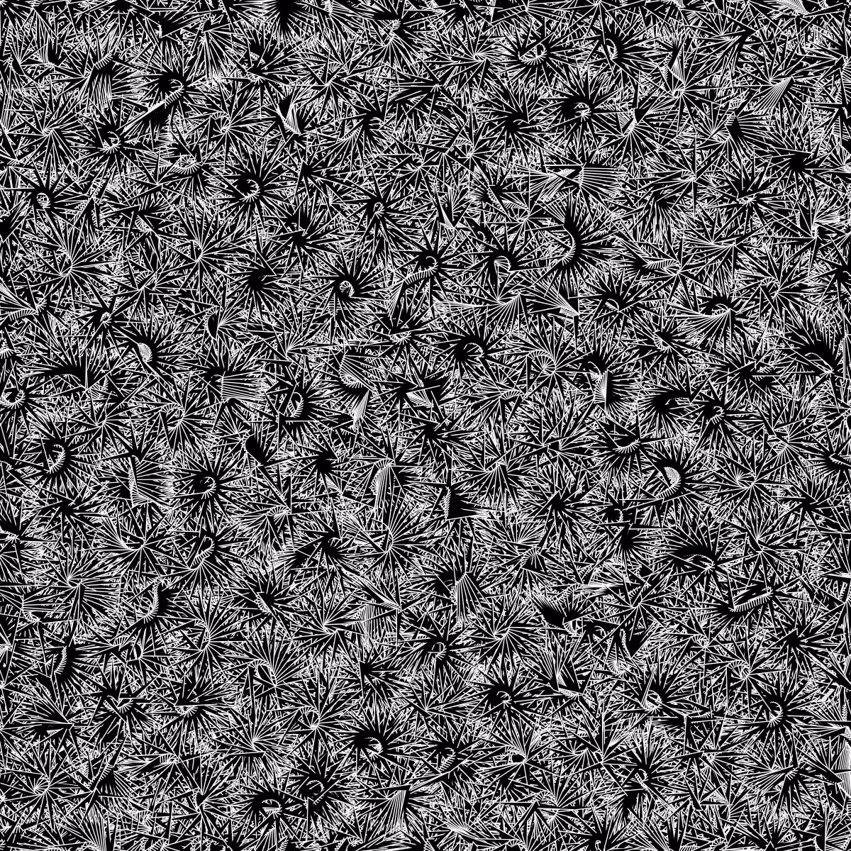 Fantacy Carpet #42