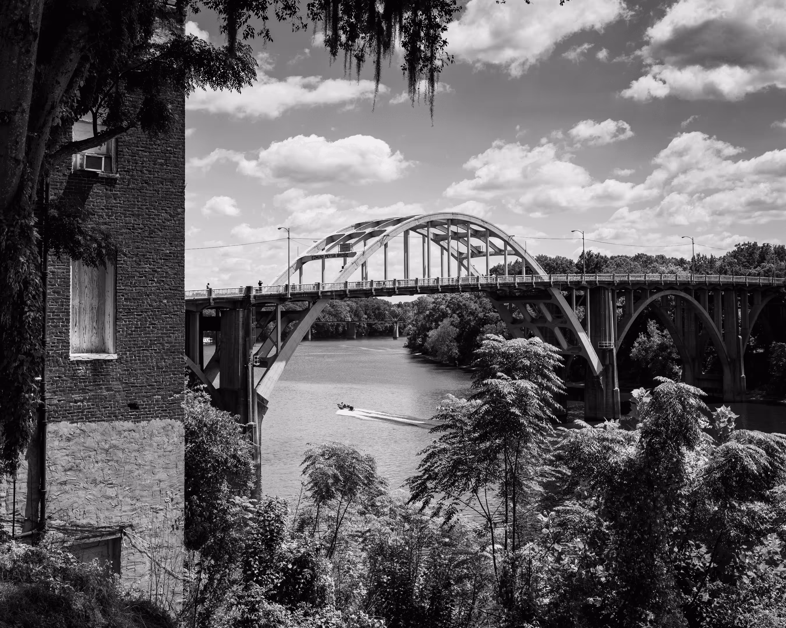 Southern Horror #151