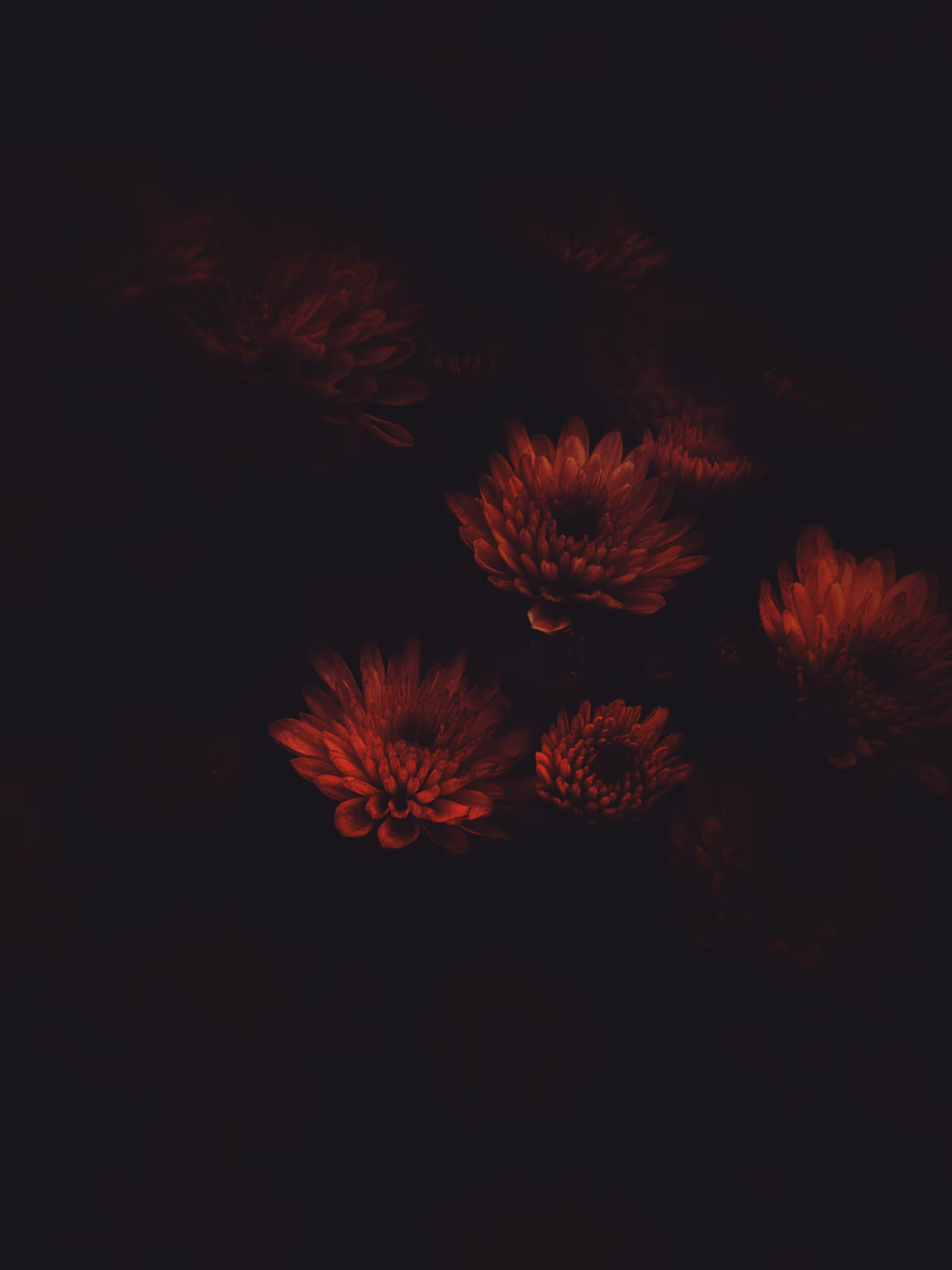 Dark Fire