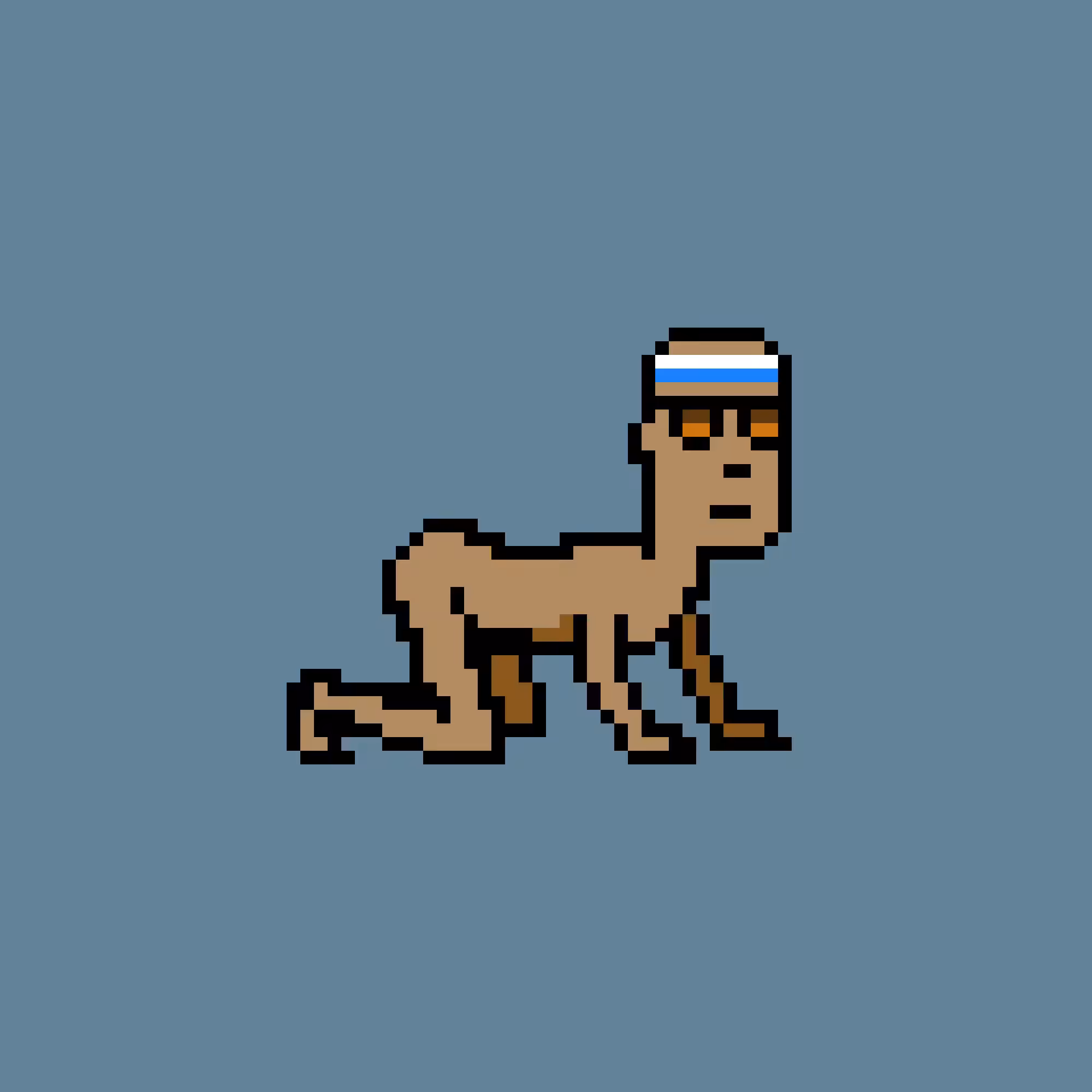 CrawlingPunk #2181