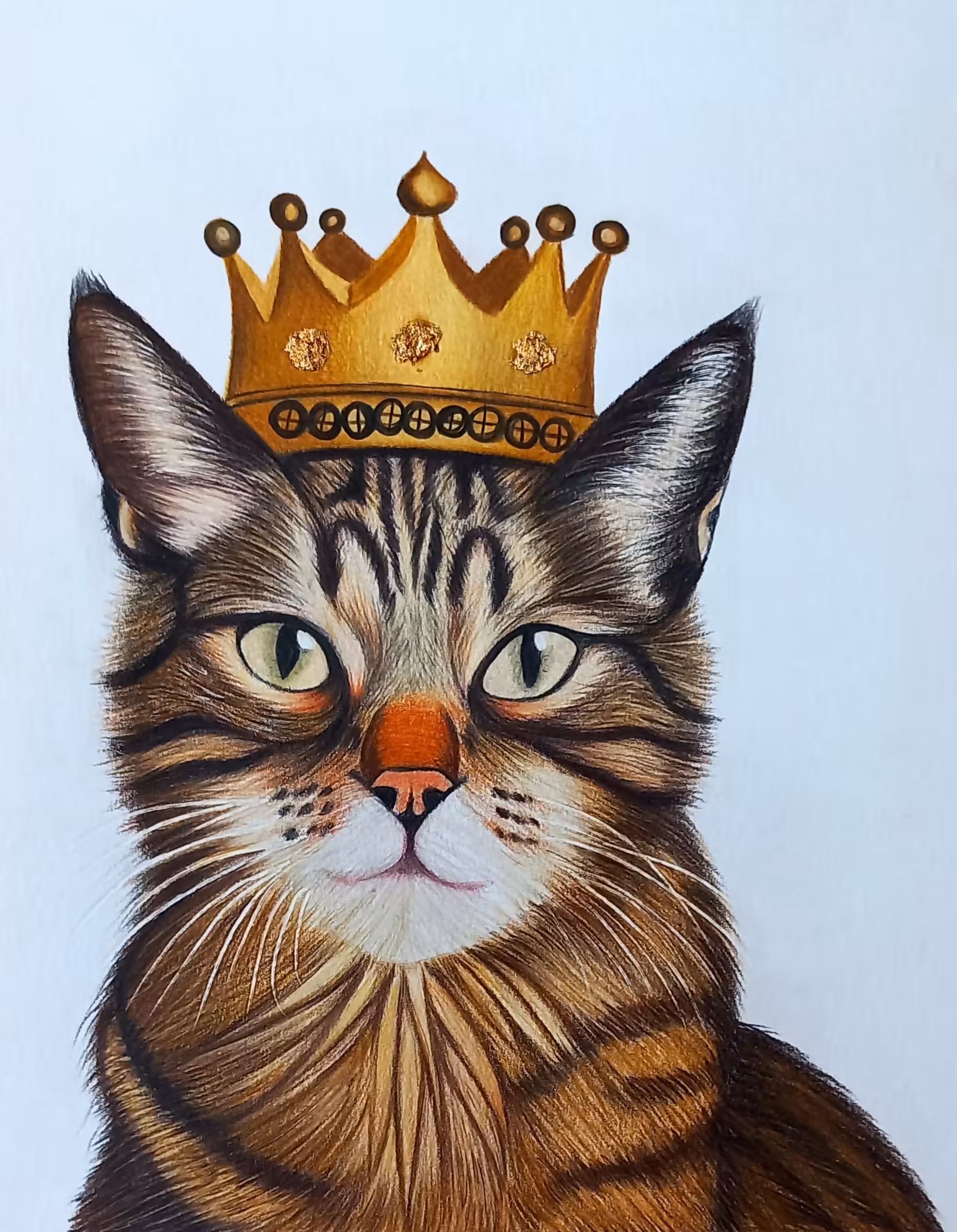 crowned cat